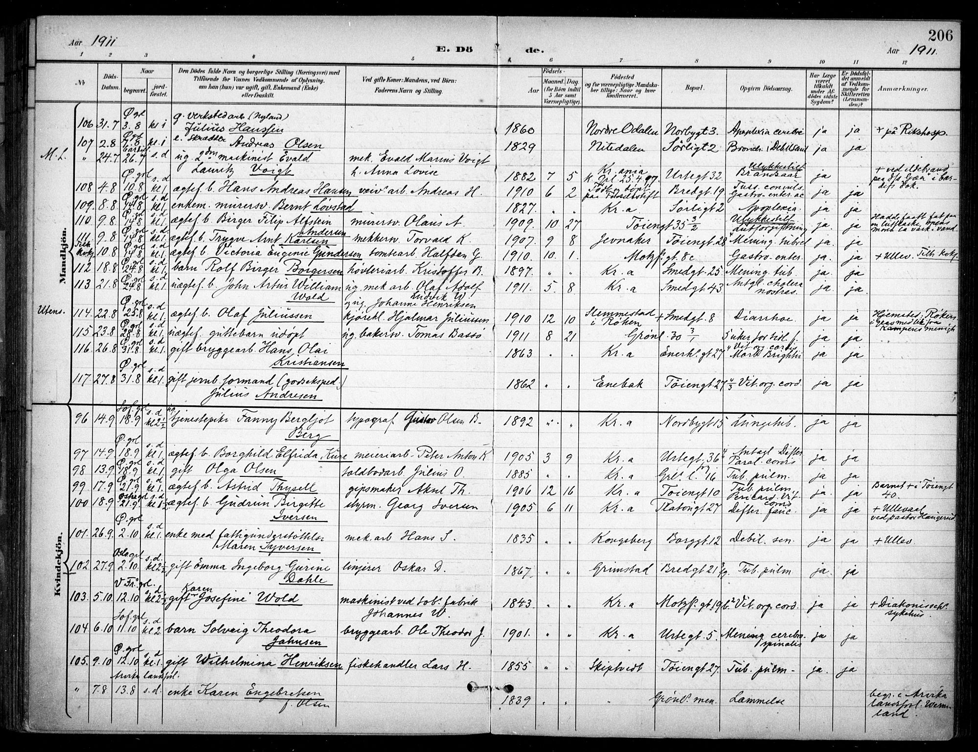 Grønland prestekontor Kirkebøker, SAO/A-10848/F/Fa/L0016: Parish register (official) no. 16, 1898-1918, p. 206