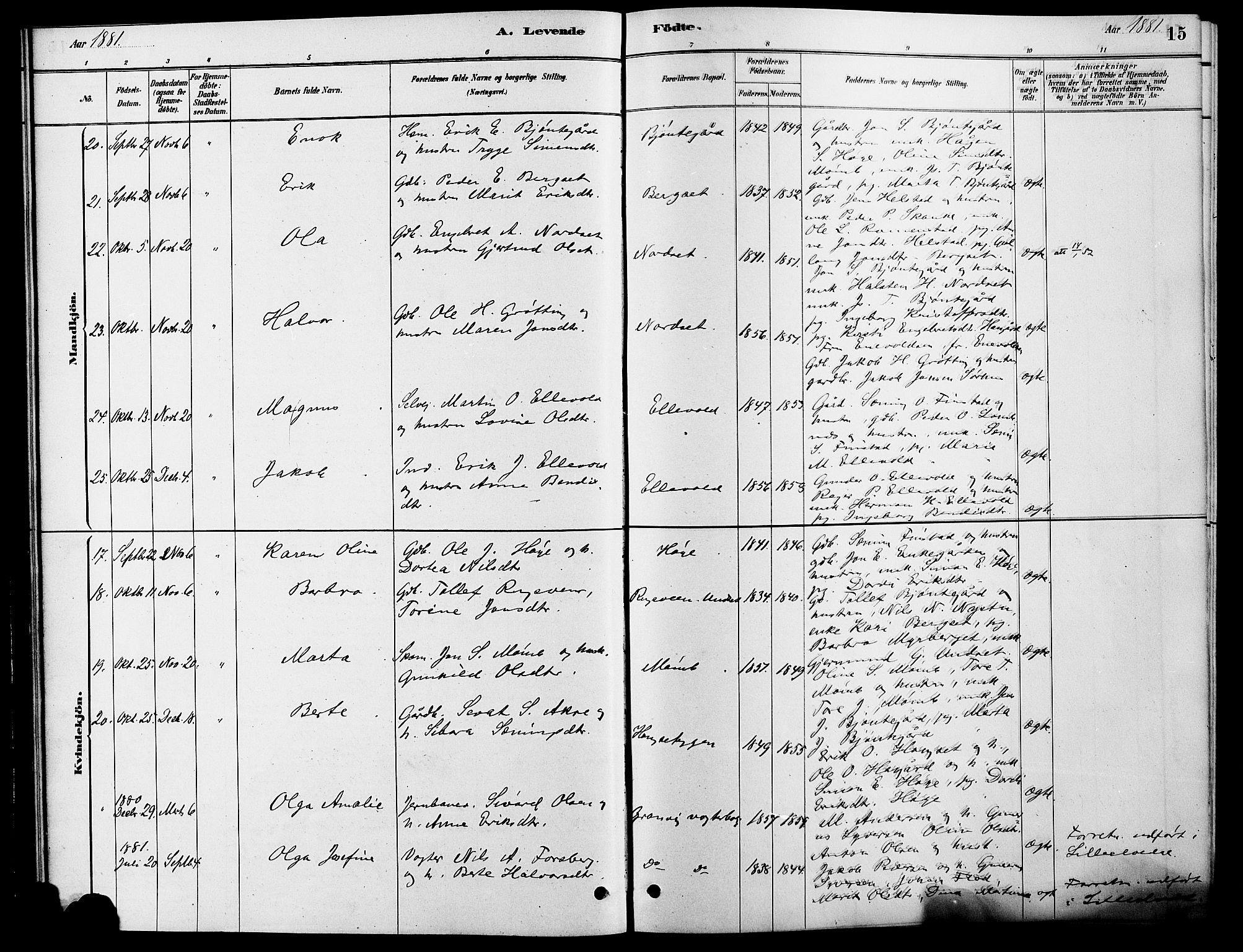 Rendalen prestekontor, AV/SAH-PREST-054/H/Ha/Hab/L0003: Parish register (copy) no. 3, 1879-1904, p. 15