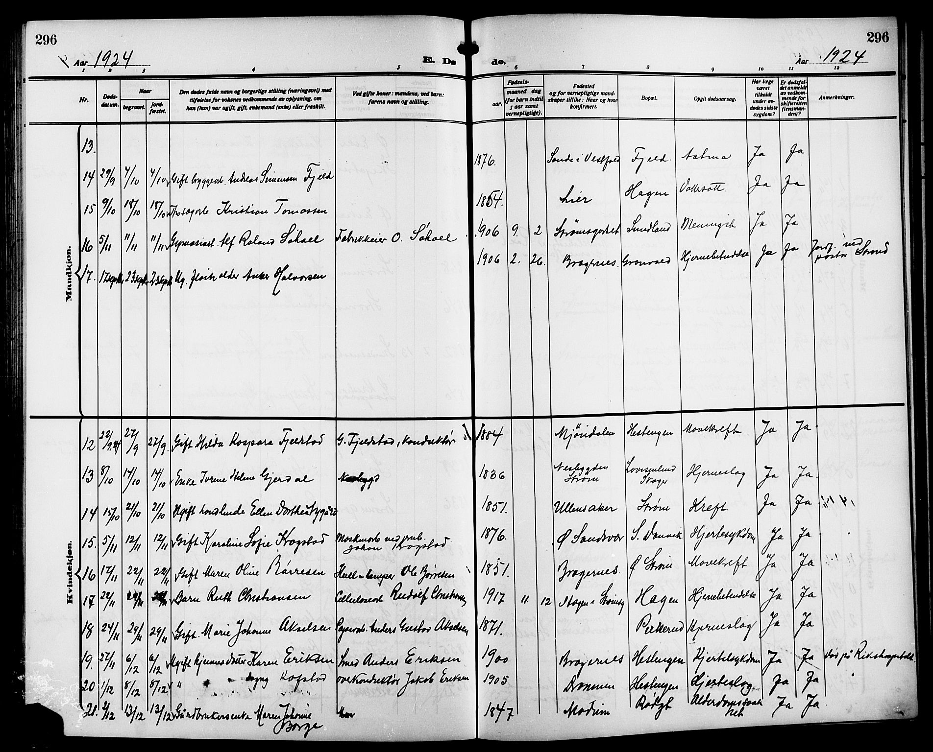 Strømsgodset kirkebøker, AV/SAKO-A-324/G/Ga/L0003: Parish register (copy) no. 3, 1911-1926, p. 296