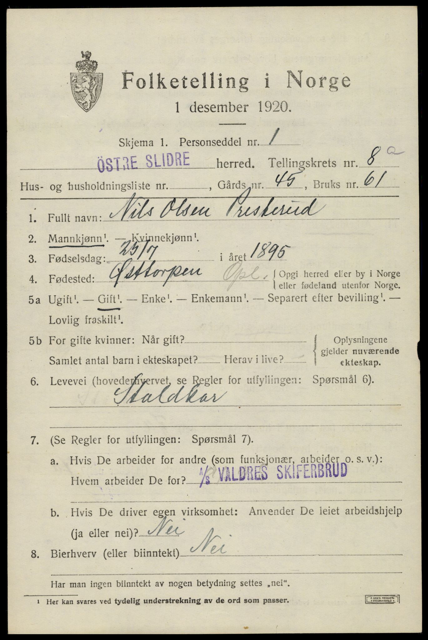 SAH, 1920 census for Øystre Slidre, 1920, p. 5303