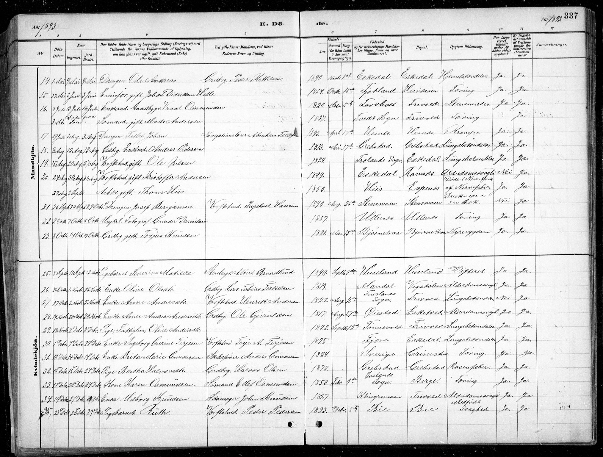 Fjære sokneprestkontor, SAK/1111-0011/F/Fb/L0011: Parish register (copy) no. B 11, 1881-1905, p. 337