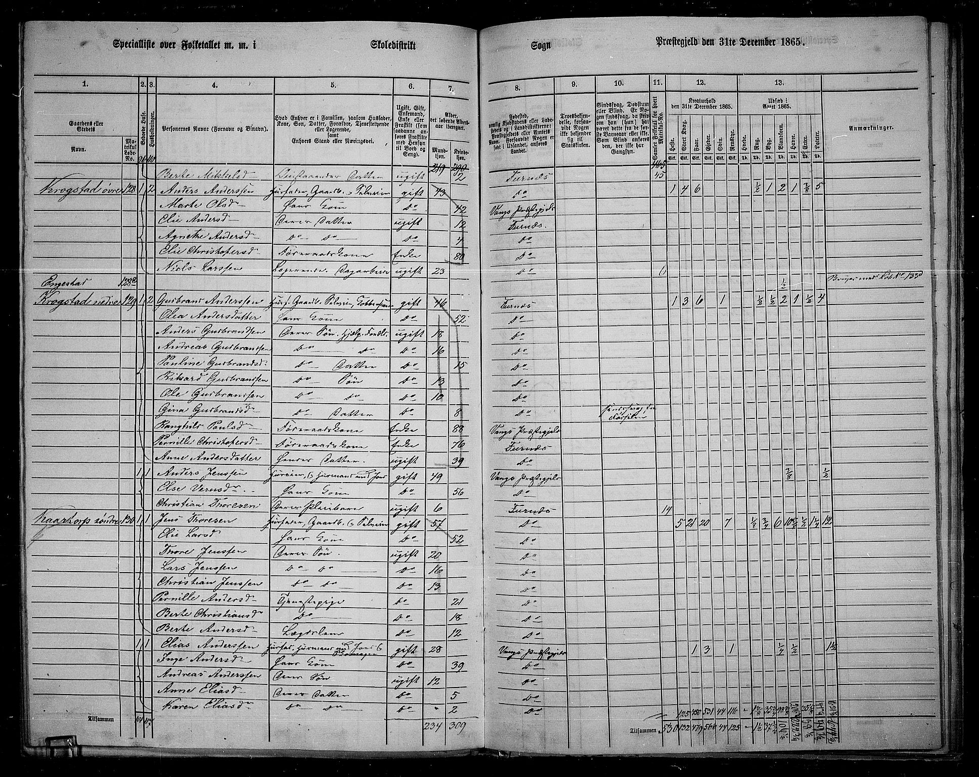 RA, 1865 census for Vang/Vang og Furnes, 1865, p. 107