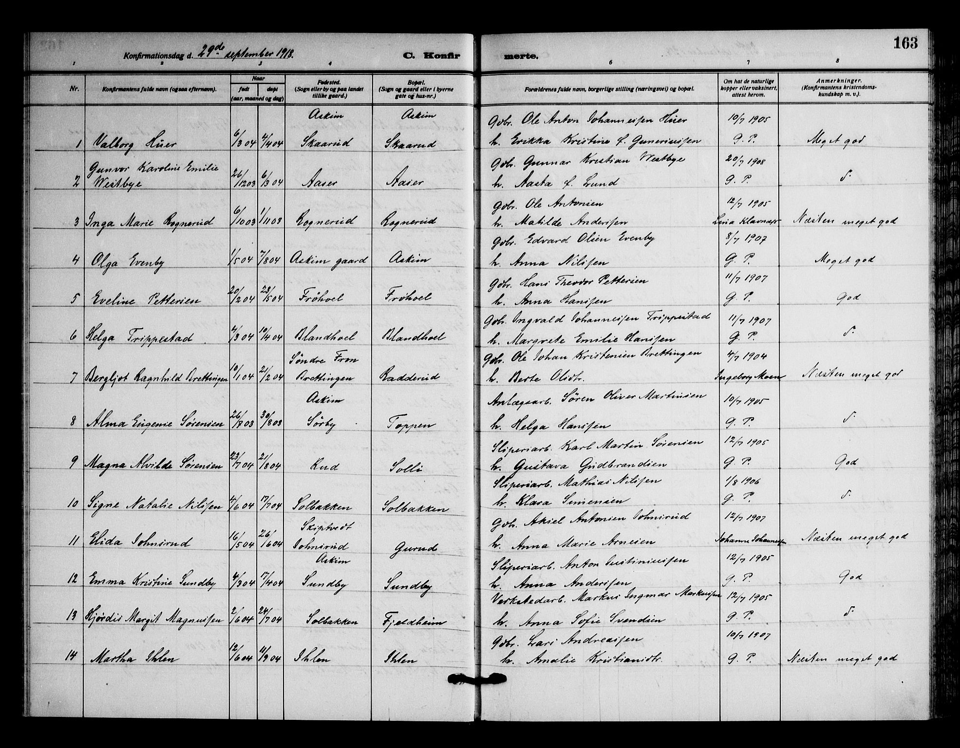 Askim prestekontor Kirkebøker, AV/SAO-A-10900/F/Fa/L0009: Parish register (official) no. 9, 1913-1923, p. 163