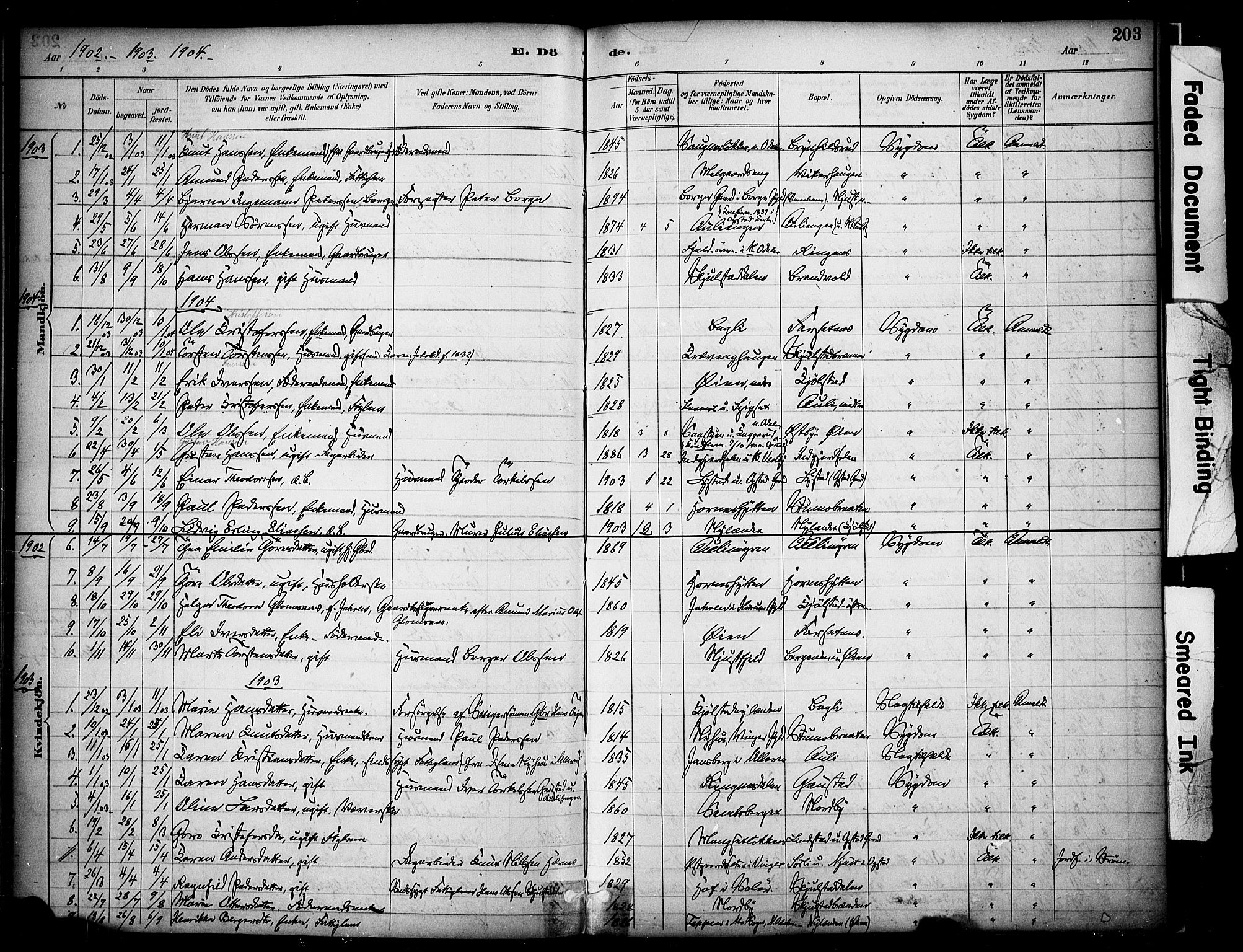 Sør-Odal prestekontor, AV/SAH-PREST-030/H/Ha/Haa/L0009: Parish register (official) no. 9, 1886-1926, p. 203