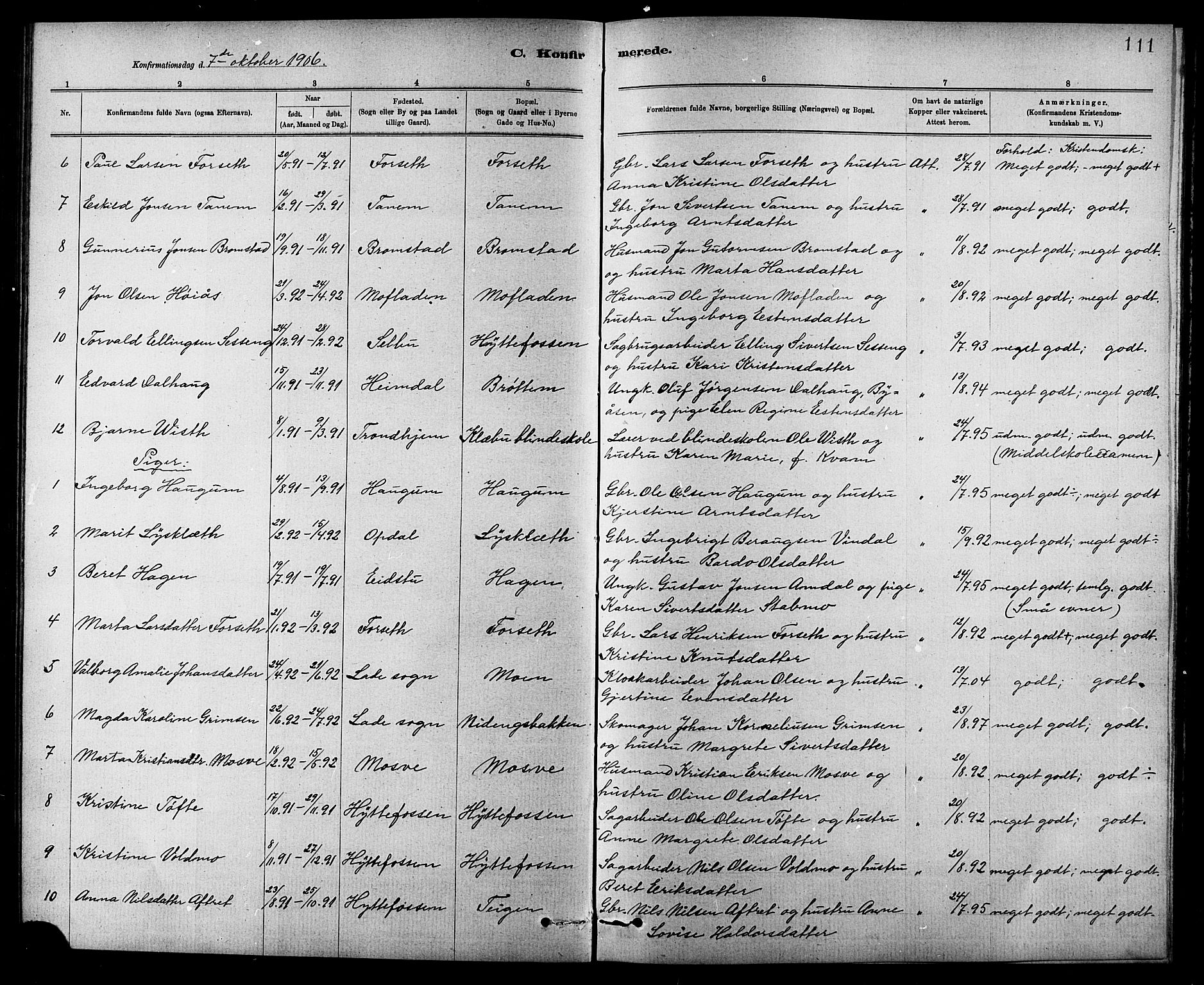 Ministerialprotokoller, klokkerbøker og fødselsregistre - Sør-Trøndelag, AV/SAT-A-1456/618/L0452: Parish register (copy) no. 618C03, 1884-1906, p. 111