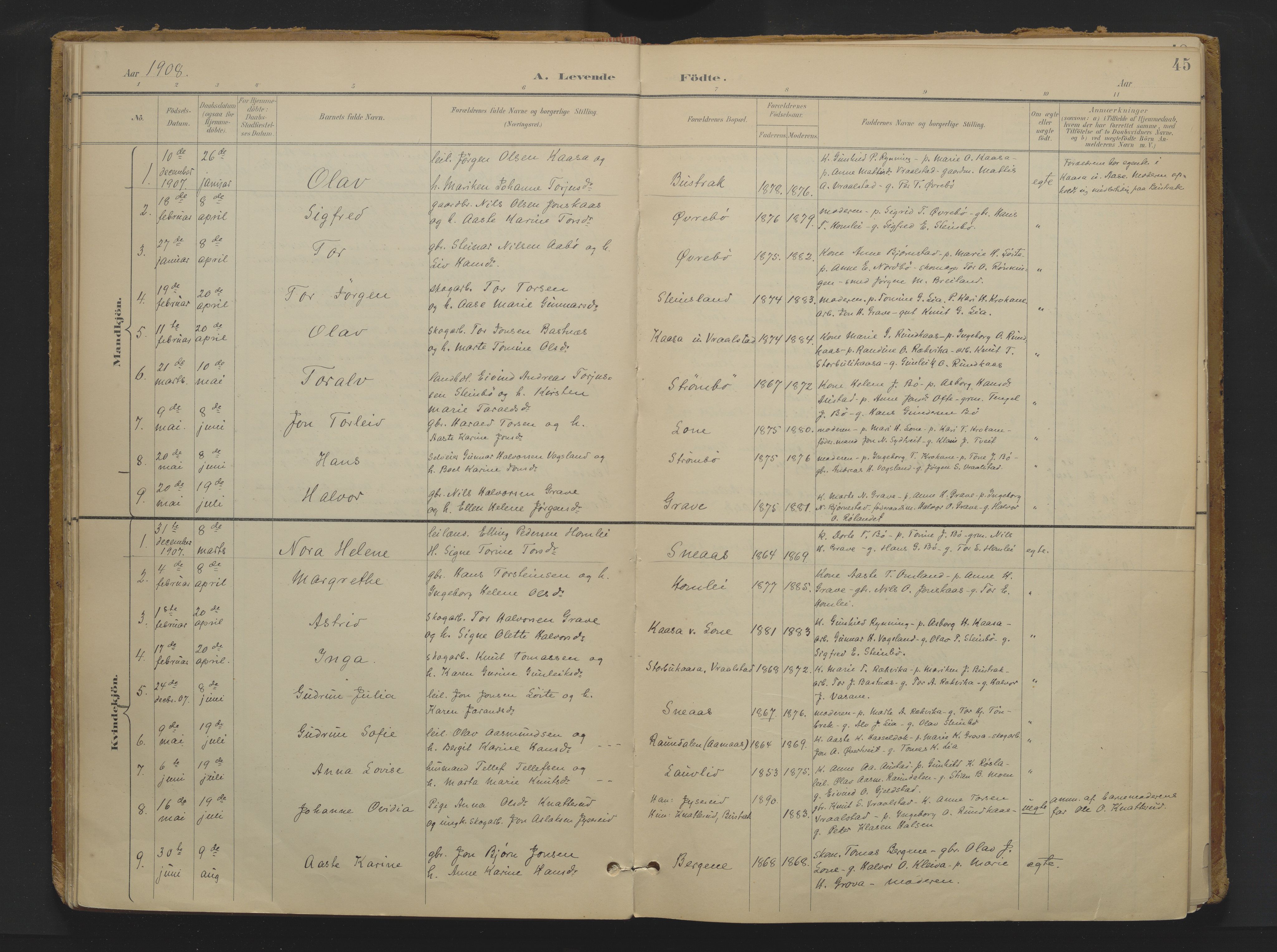 Drangedal kirkebøker, SAKO/A-258/F/Fa/L0013: Parish register (official) no. 13, 1895-1919, p. 45