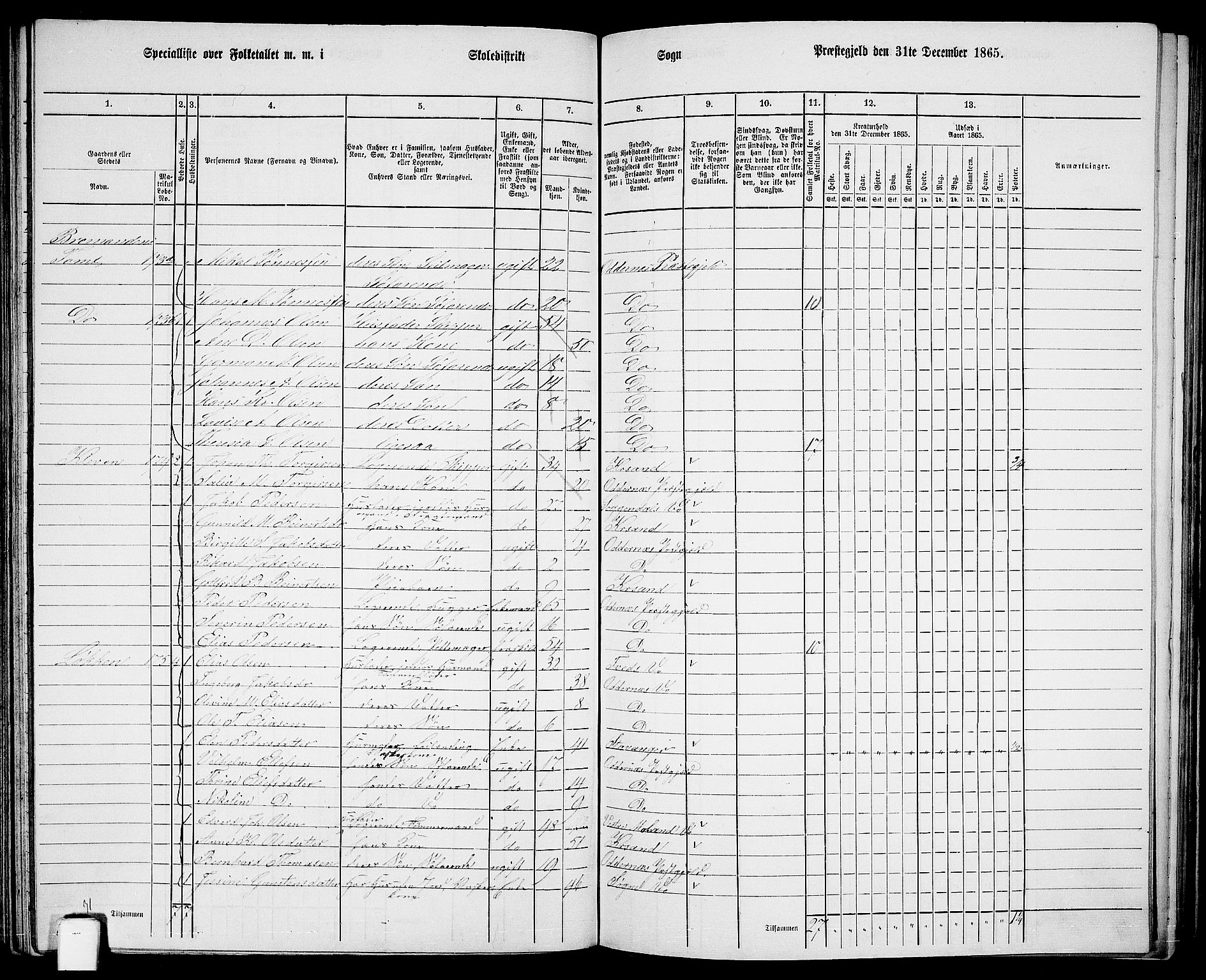 RA, 1865 census for Oddernes, 1865, p. 98