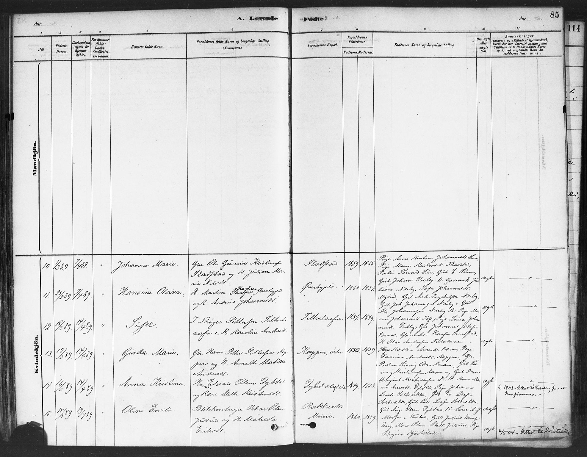 Rakkestad prestekontor Kirkebøker, AV/SAO-A-2008/F/Fa/L0012: Parish register (official) no. I 12, 1878-1893, p. 85