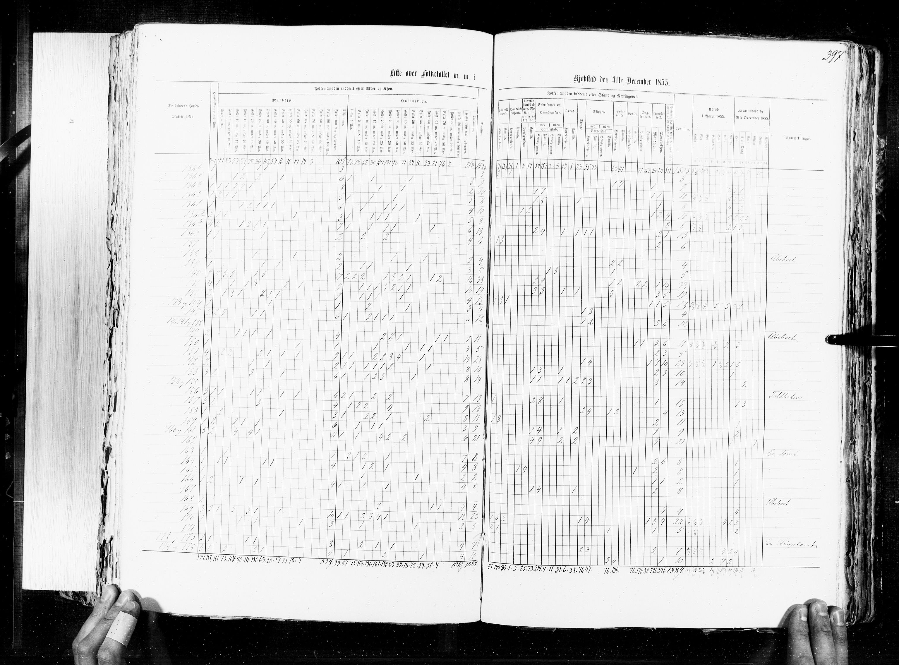 RA, Census 1855, vol. 7: Fredrikshald-Kragerø, 1855, p. 397