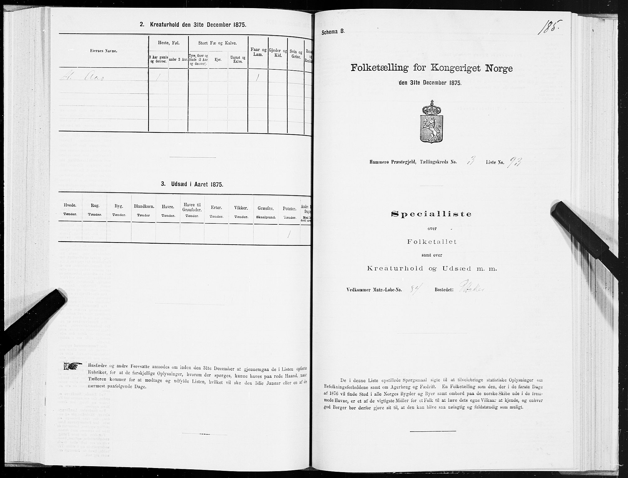 SAT, 1875 census for 1849P Hamarøy, 1875, p. 2185