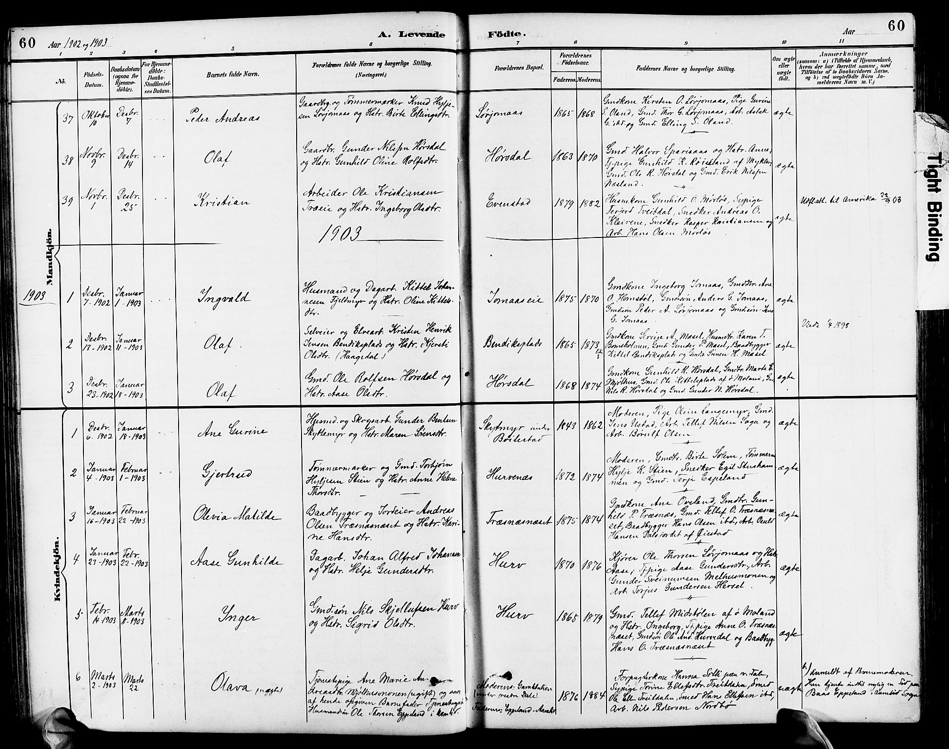 Froland sokneprestkontor, AV/SAK-1111-0013/F/Fb/L0010: Parish register (copy) no. B 10, 1893-1920, p. 60