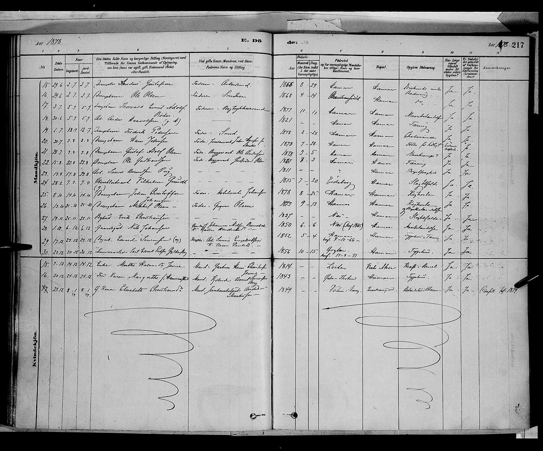 Vang prestekontor, Hedmark, AV/SAH-PREST-008/H/Ha/Haa/L0016: Parish register (official) no. 16, 1878-1889, p. 217