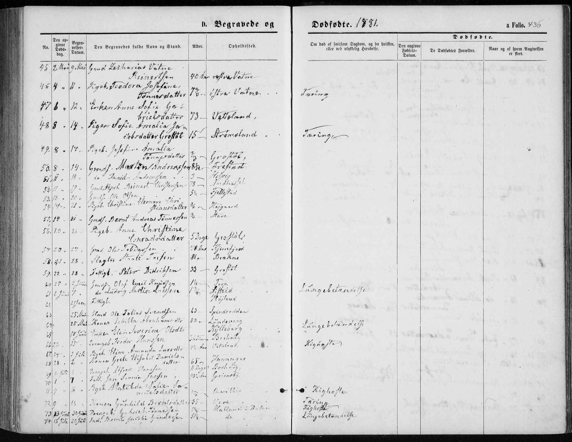 Lista sokneprestkontor, AV/SAK-1111-0027/F/Fb/L0004: Parish register (copy) no. B 4, 1877-1891, p. 436