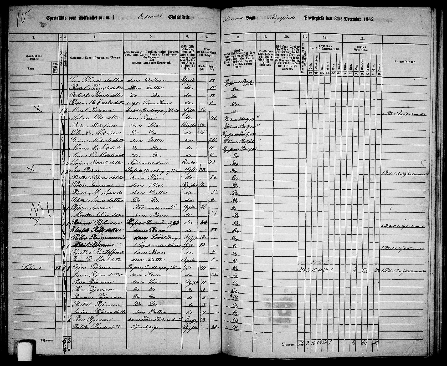 RA, 1865 census for Høgsfjord, 1865, p. 57