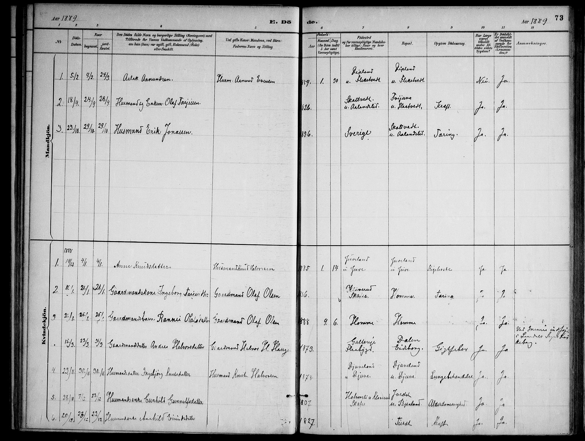 Lårdal kirkebøker, AV/SAKO-A-284/F/Fa/L0007: Parish register (official) no. I 7, 1887-1906, p. 73
