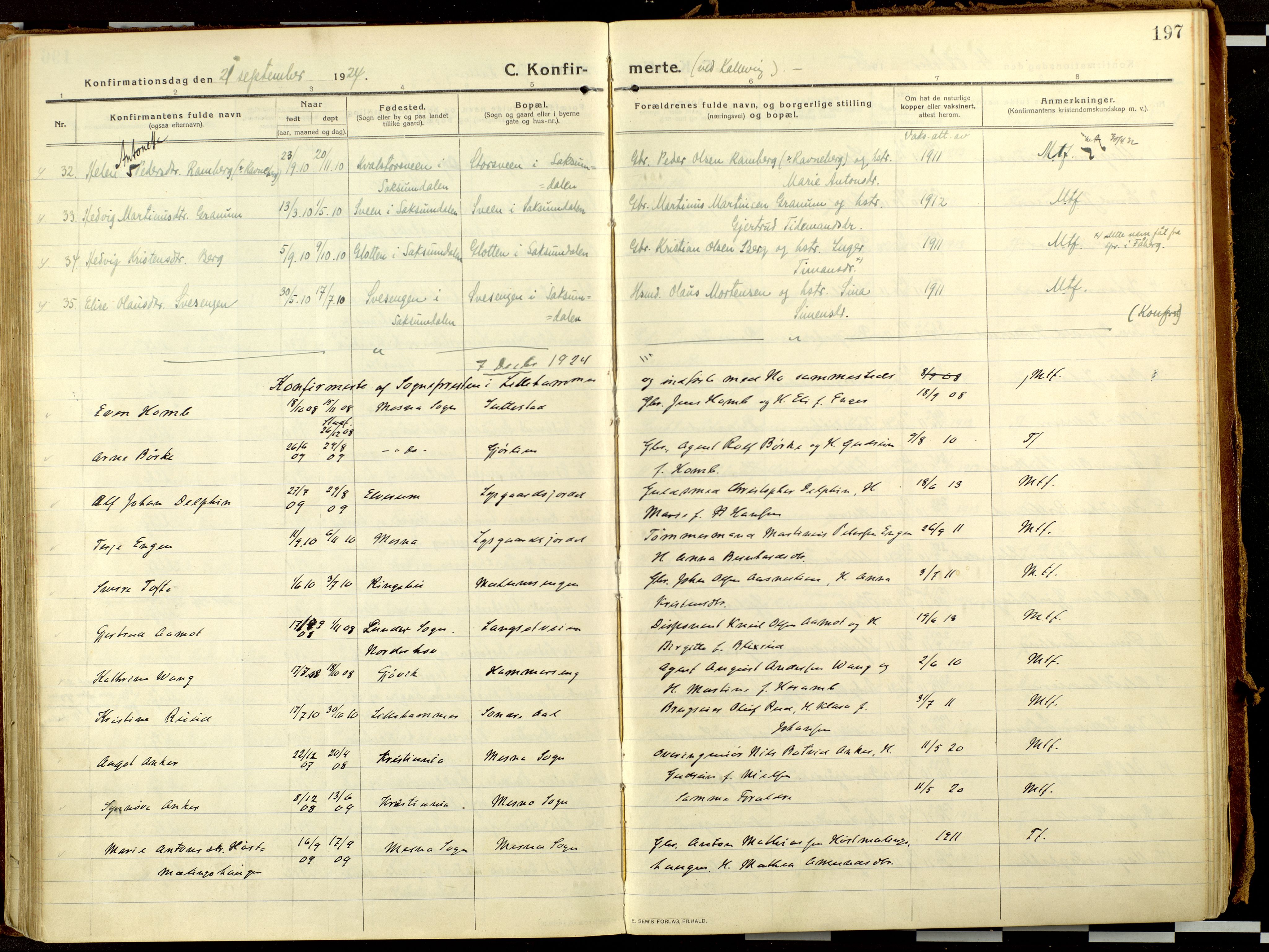 Fåberg prestekontor, AV/SAH-PREST-086/H/Ha/Haa/L0013: Parish register (official) no. 13, 1913-1928, p. 197