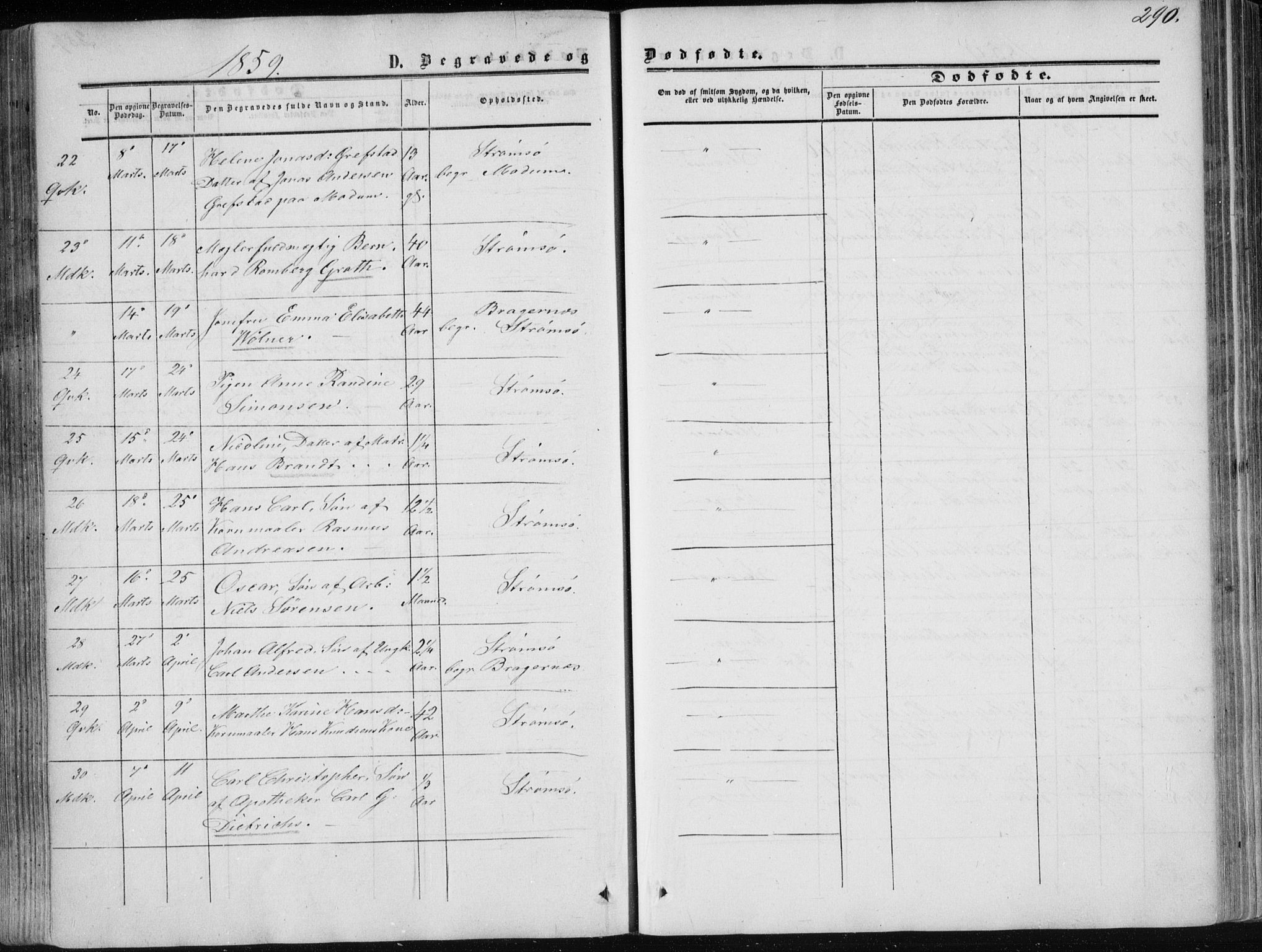 Strømsø kirkebøker, AV/SAKO-A-246/F/Fa/L0015: Parish register (official) no. I 15, 1859-1868, p. 290