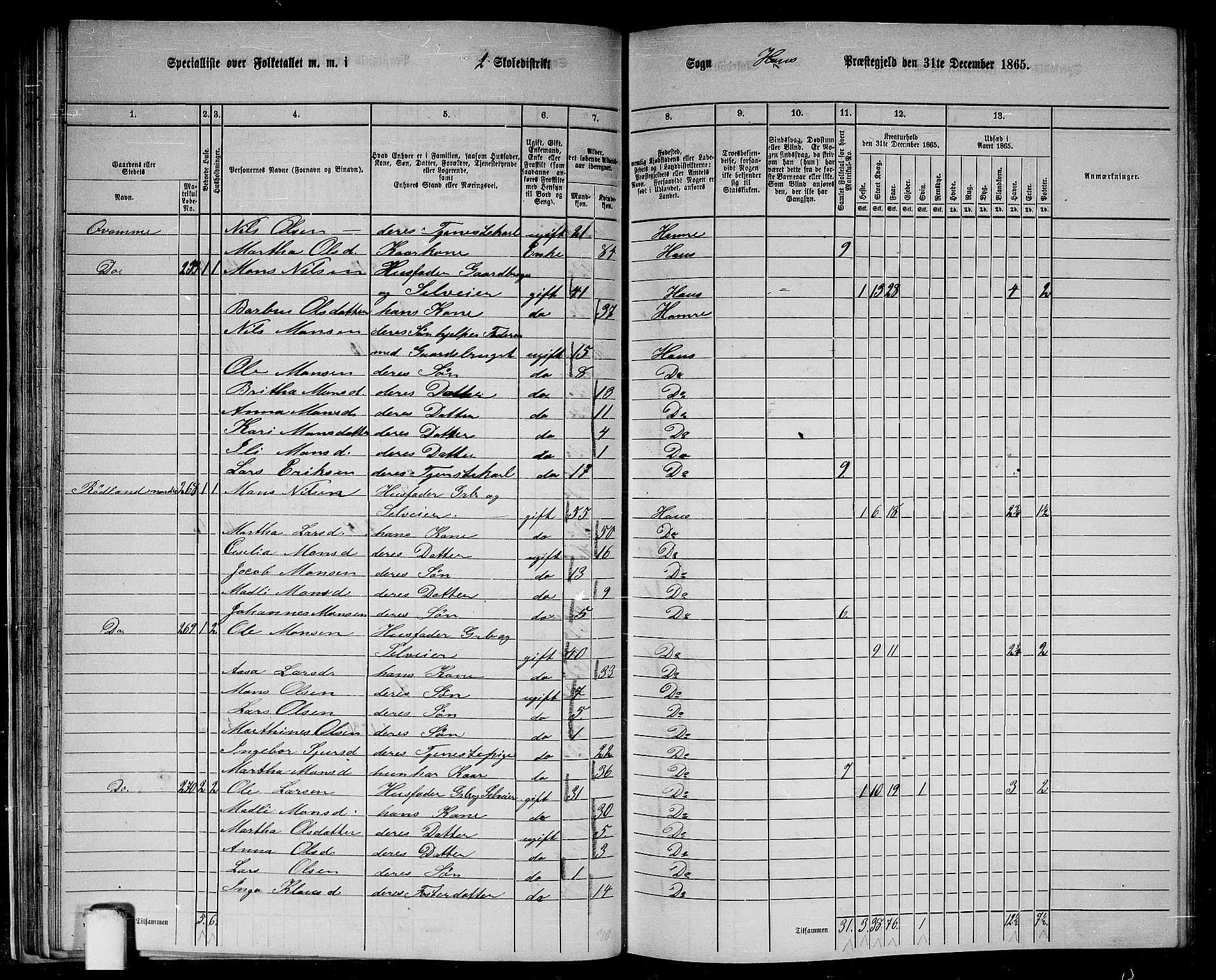 RA, 1865 census for Haus, 1865, p. 46