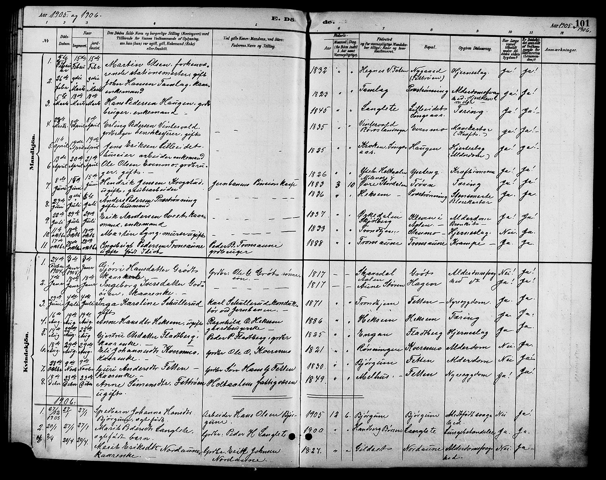 Ministerialprotokoller, klokkerbøker og fødselsregistre - Sør-Trøndelag, SAT/A-1456/685/L0978: Parish register (copy) no. 685C03, 1891-1907, p. 101
