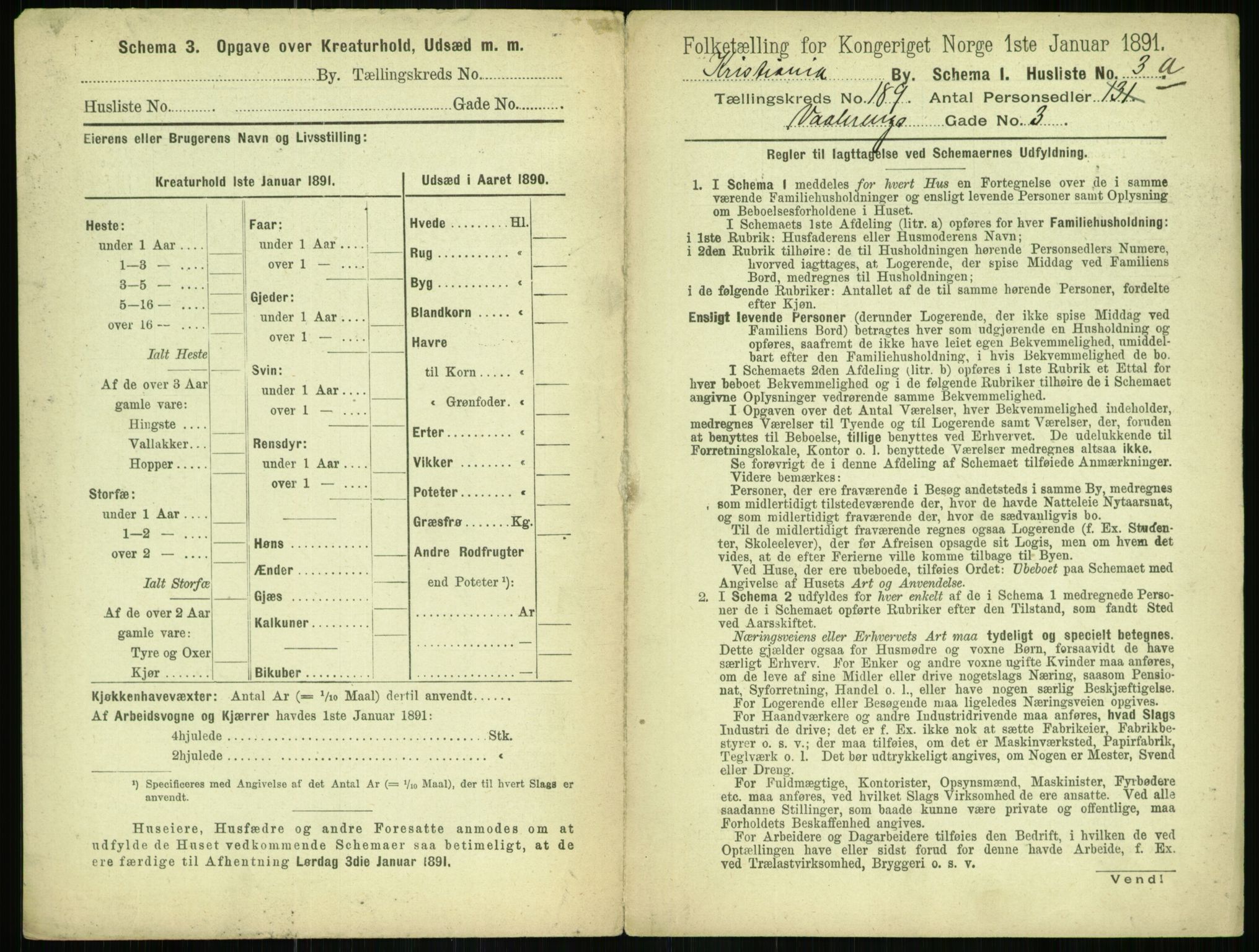 RA, 1891 census for 0301 Kristiania, 1891, p. 113135