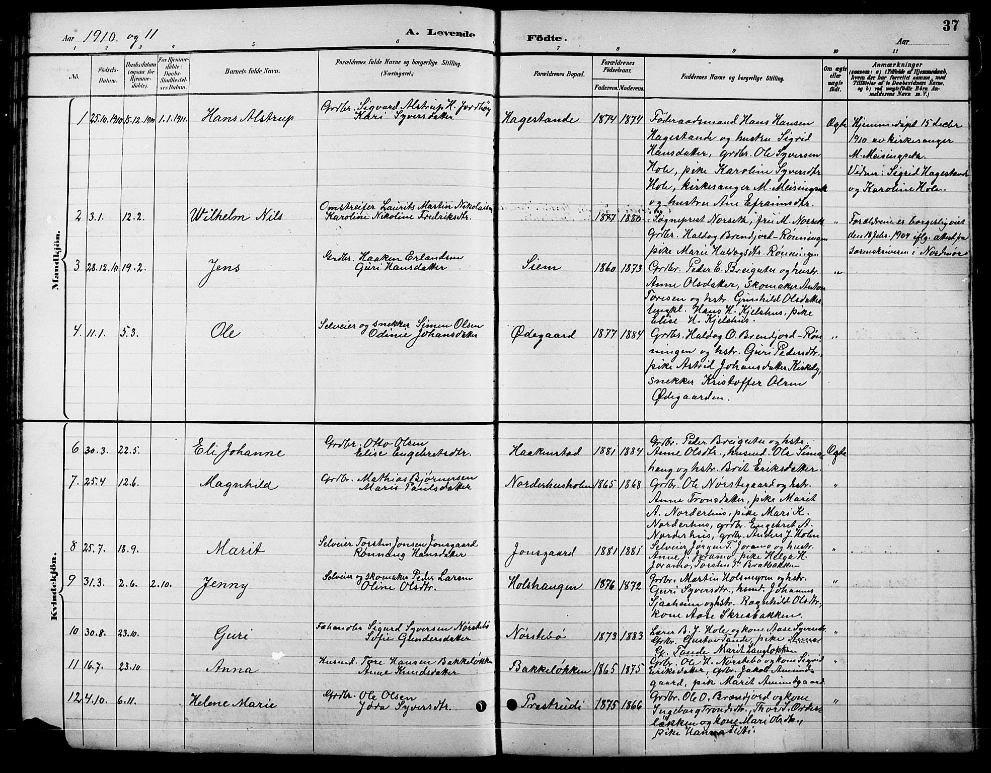 Lesja prestekontor, SAH/PREST-068/H/Ha/Hab/L0007: Parish register (copy) no. 7, 1895-1919, p. 37