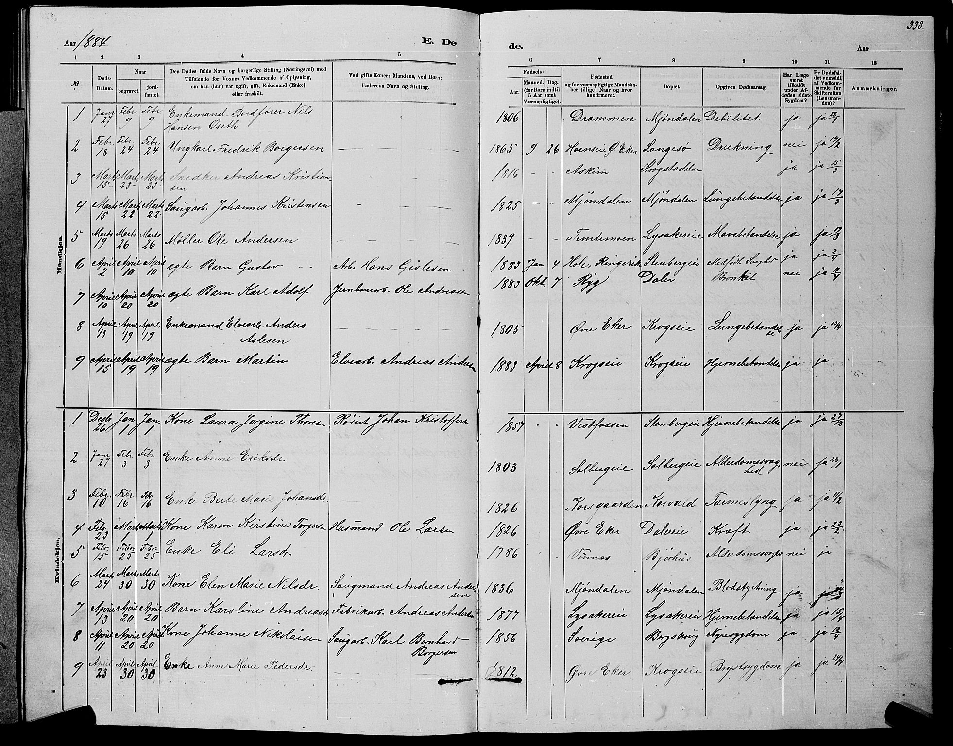 Nedre Eiker kirkebøker, AV/SAKO-A-612/G/Ga/L0002: Parish register (copy) no. 2, 1880-1896, p. 338