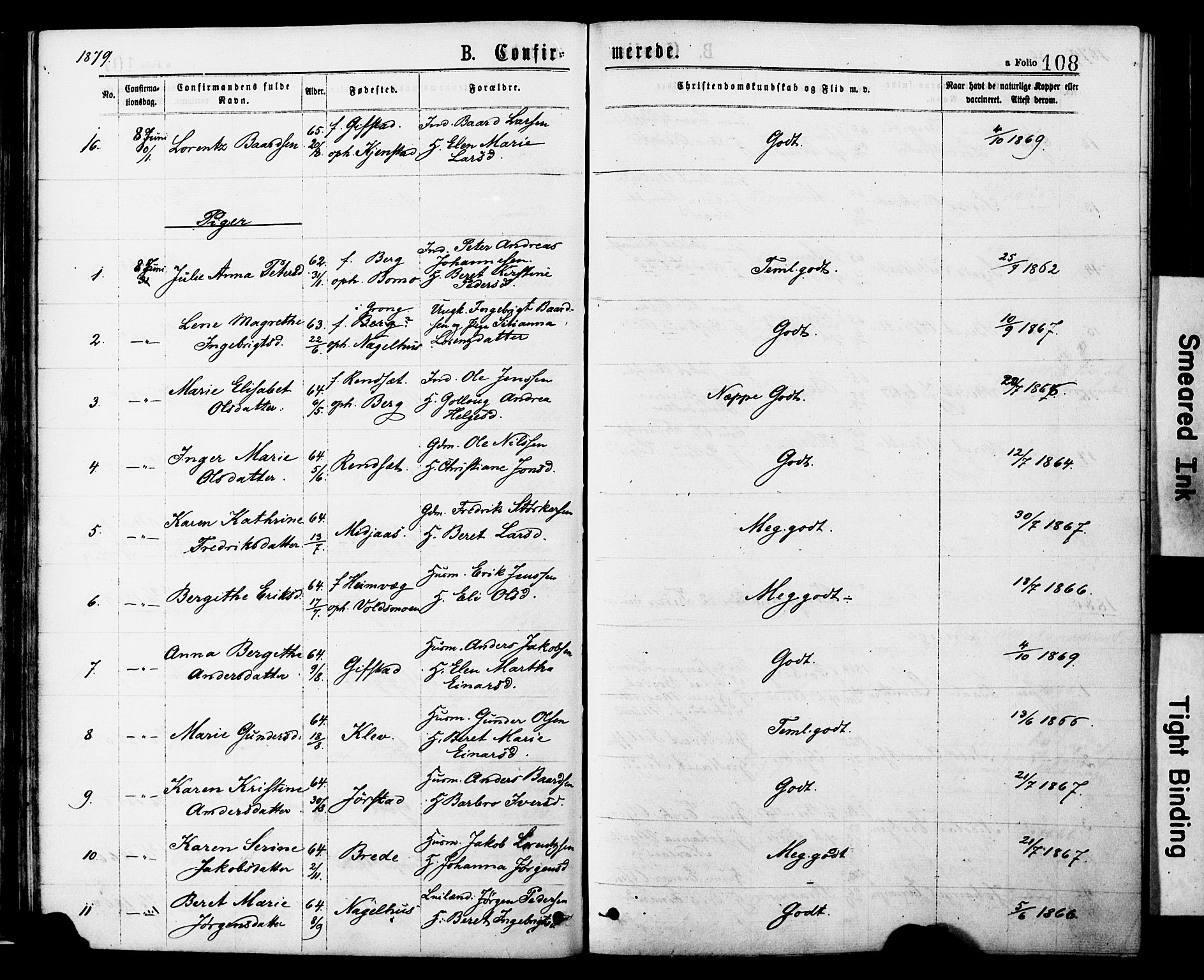 Ministerialprotokoller, klokkerbøker og fødselsregistre - Nord-Trøndelag, AV/SAT-A-1458/749/L0473: Parish register (official) no. 749A07, 1873-1887, p. 108