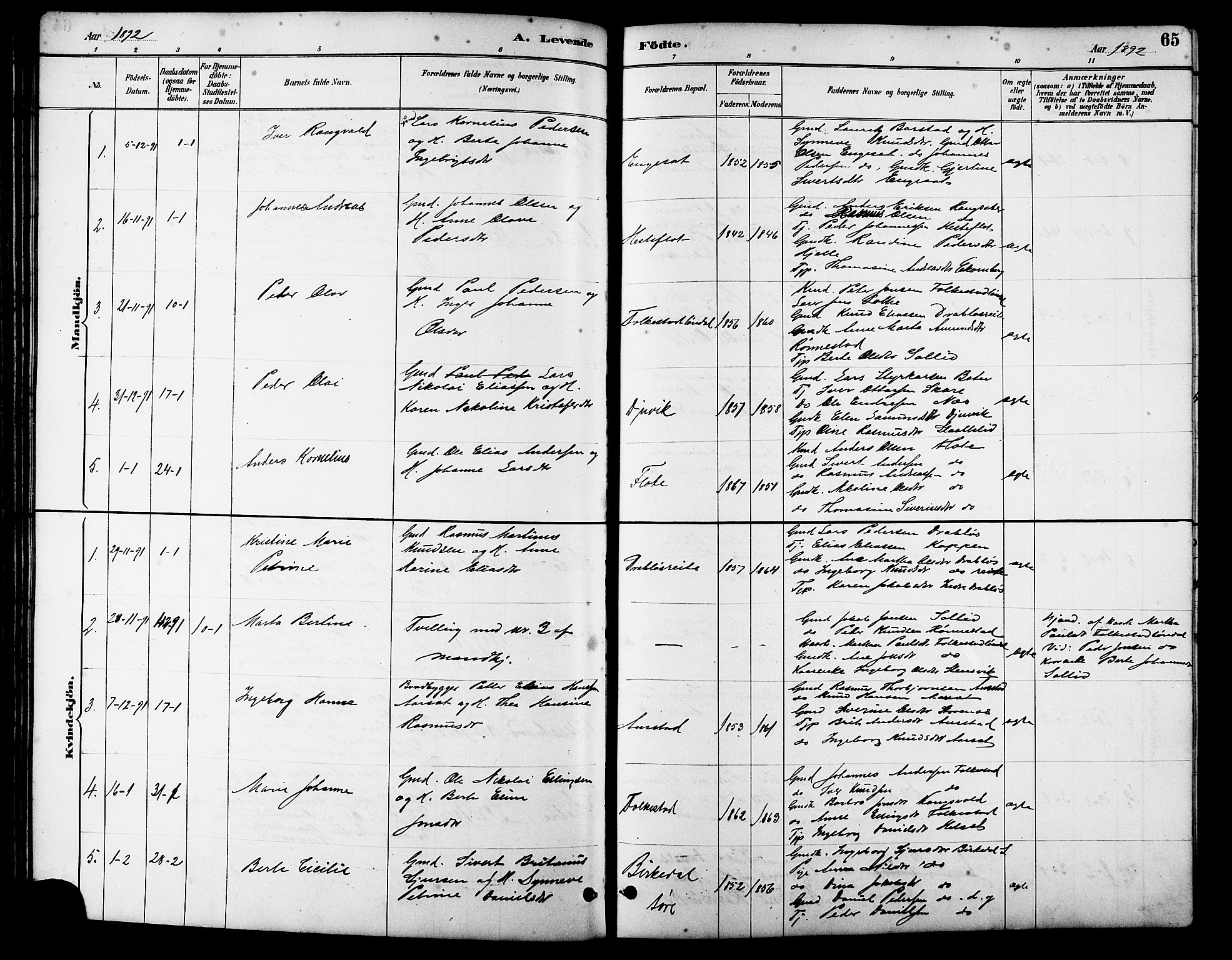 Ministerialprotokoller, klokkerbøker og fødselsregistre - Møre og Romsdal, AV/SAT-A-1454/511/L0158: Parish register (copy) no. 511C04, 1884-1903, p. 65