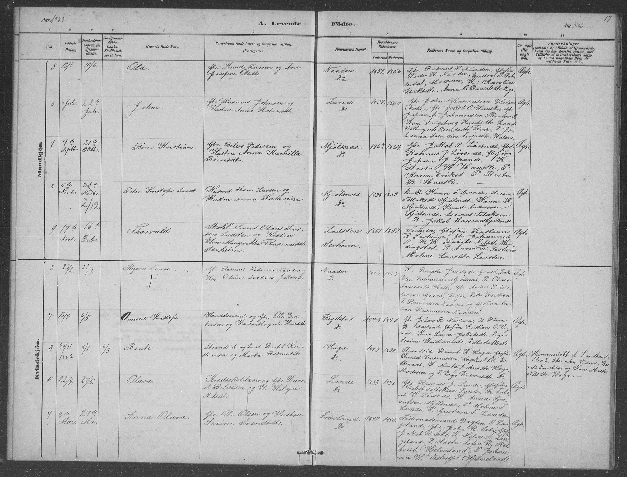 Finnøy sokneprestkontor, AV/SAST-A-101825/H/Ha/Hab/L0003: Parish register (copy) no. B 3, 1879-1899, p. 17