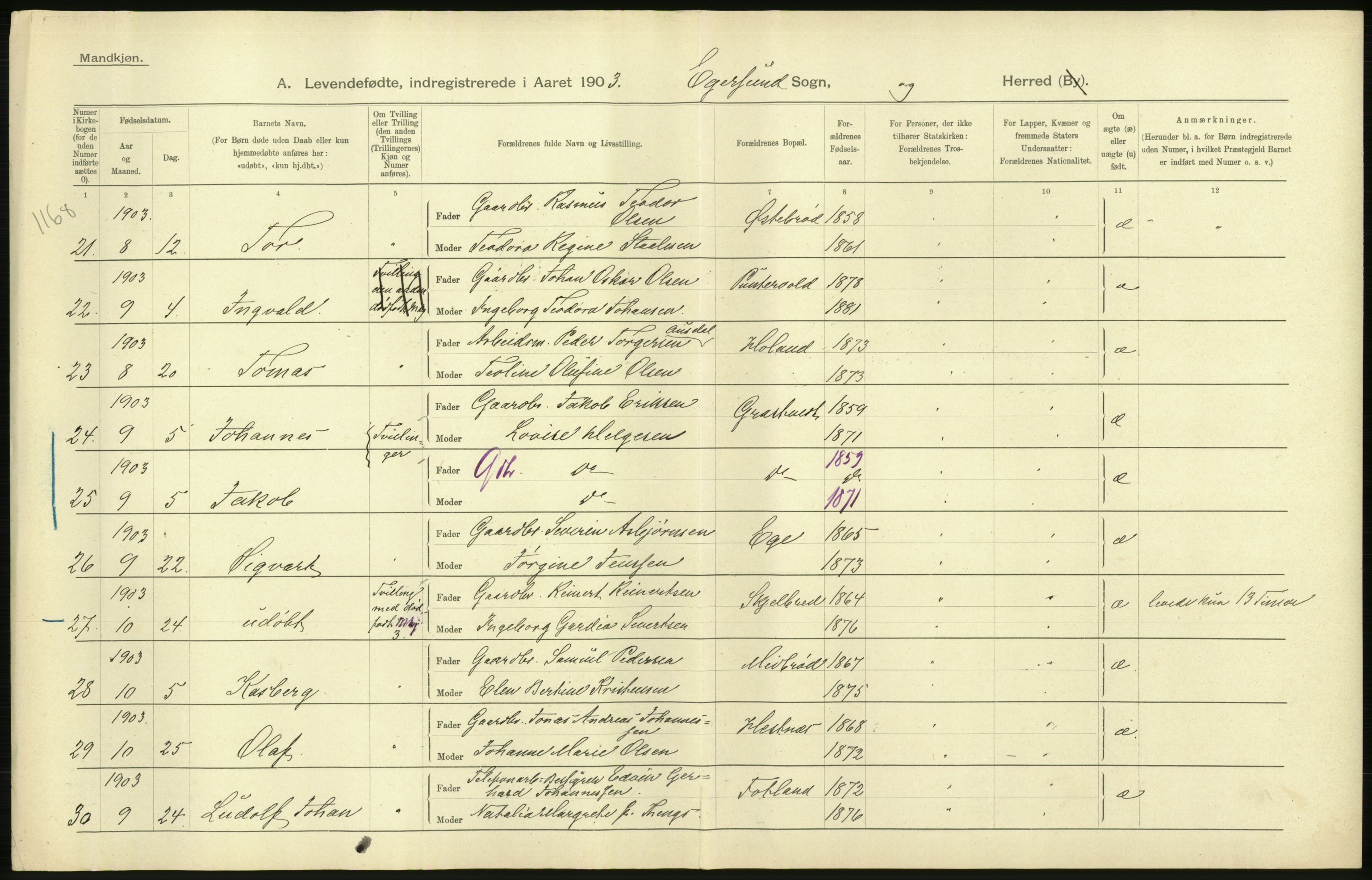 Statistisk sentralbyrå, Sosiodemografiske emner, Befolkning, AV/RA-S-2228/D/Df/Dfa/Dfaa/L0012: Stavanger amt: Fødte, gifte, døde, 1903, p. 62