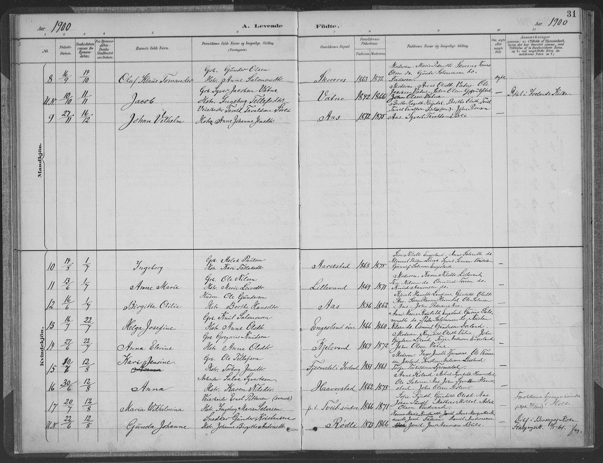 Herefoss sokneprestkontor, AV/SAK-1111-0019/F/Fa/Fab/L0004: Parish register (official) no. A 4, 1887-1909, p. 31