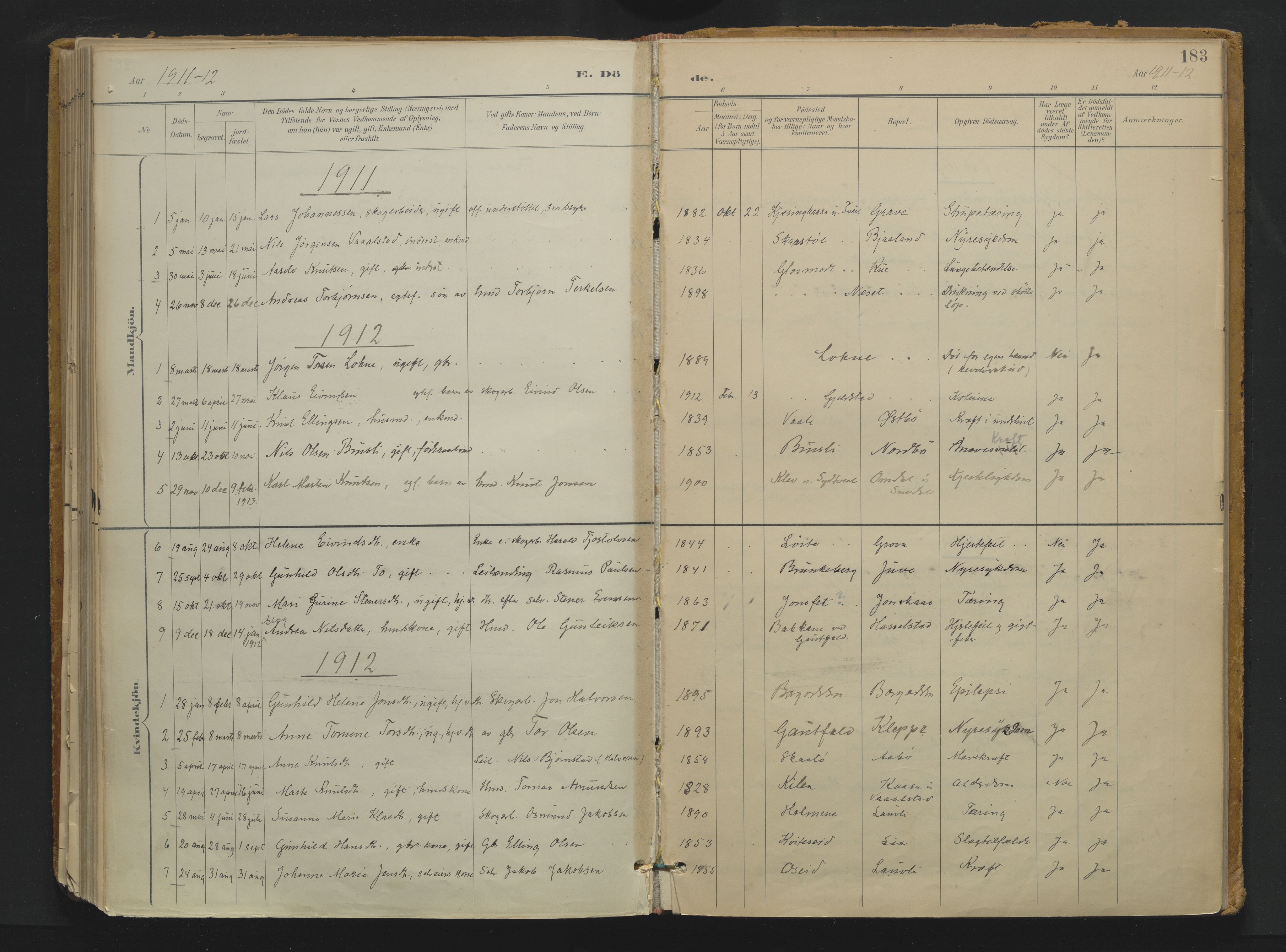 Drangedal kirkebøker, SAKO/A-258/F/Fa/L0013: Parish register (official) no. 13, 1895-1919, p. 183