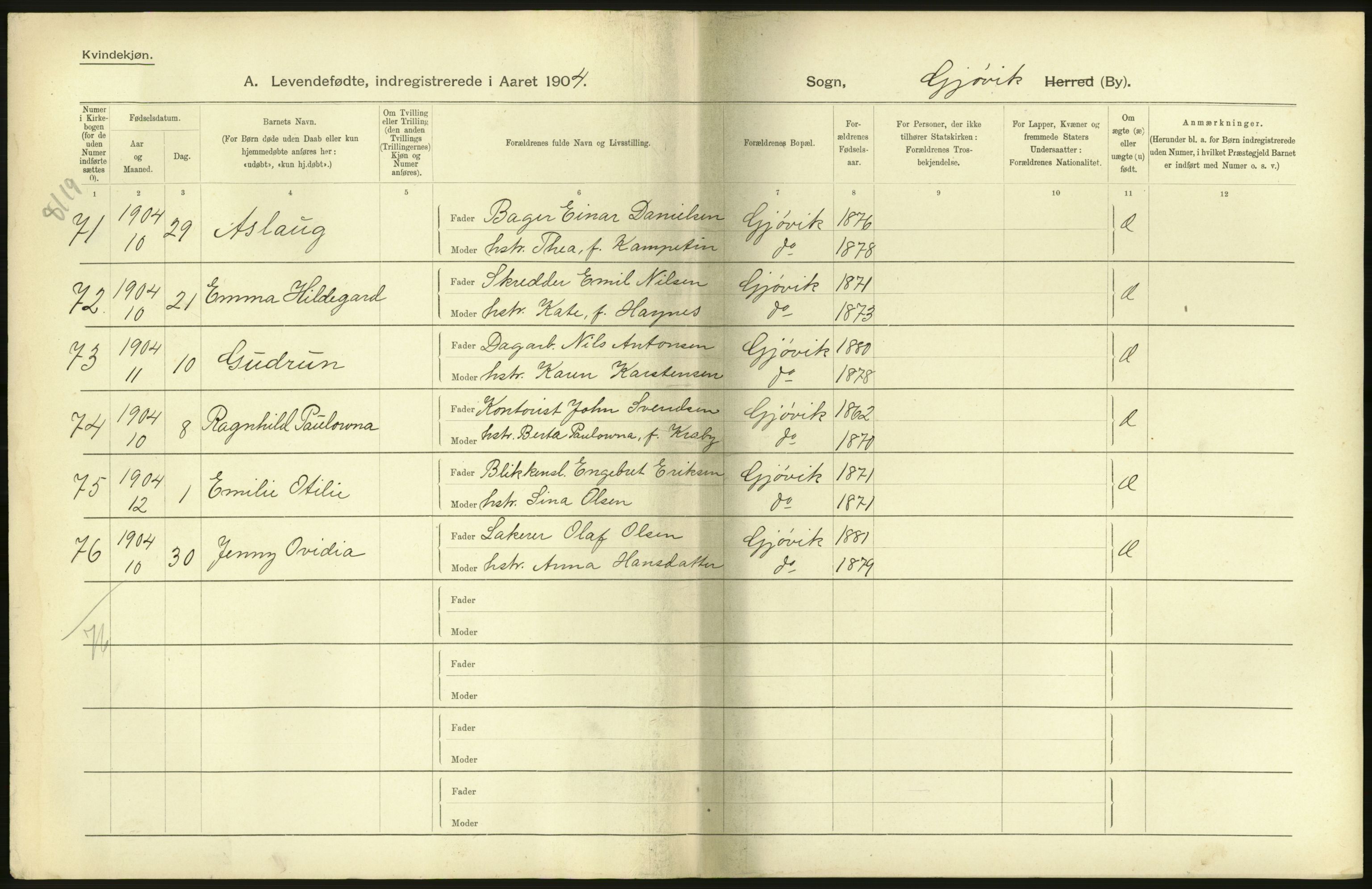 Statistisk sentralbyrå, Sosiodemografiske emner, Befolkning, AV/RA-S-2228/D/Df/Dfa/Dfab/L0006: Kristians amt: Fødte, gifte, døde, 1904, p. 886