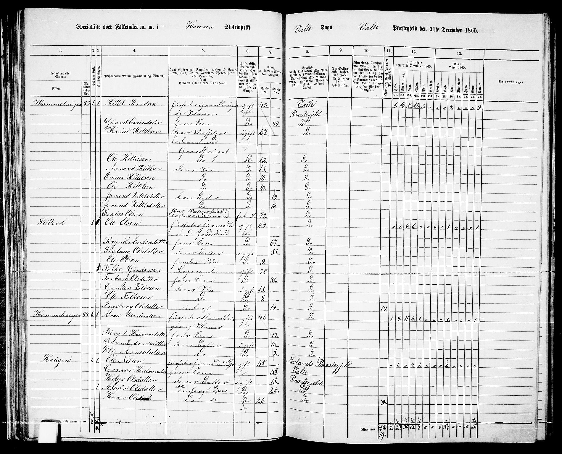 RA, 1865 census for Valle, 1865, p. 51