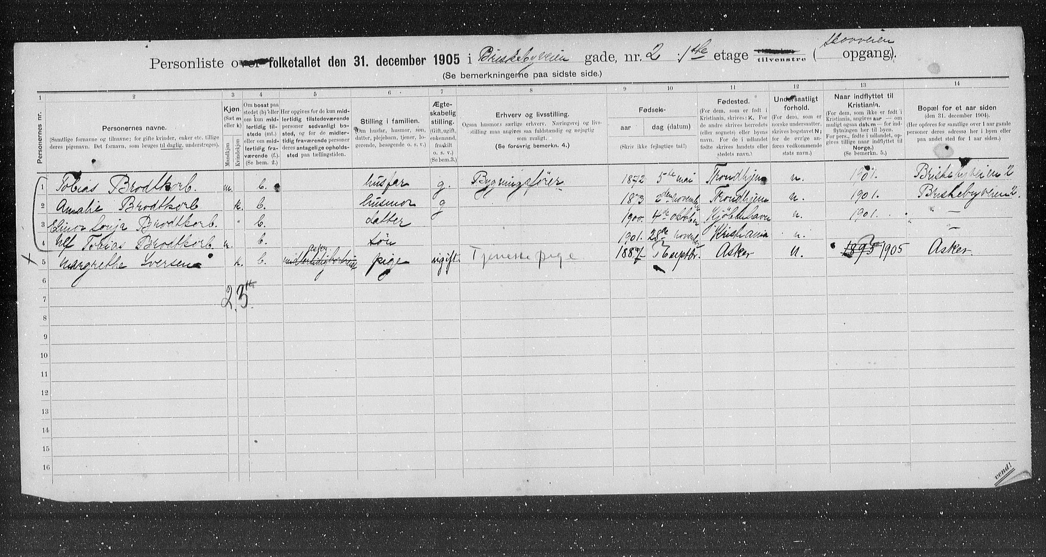 OBA, Municipal Census 1905 for Kristiania, 1905, p. 4593