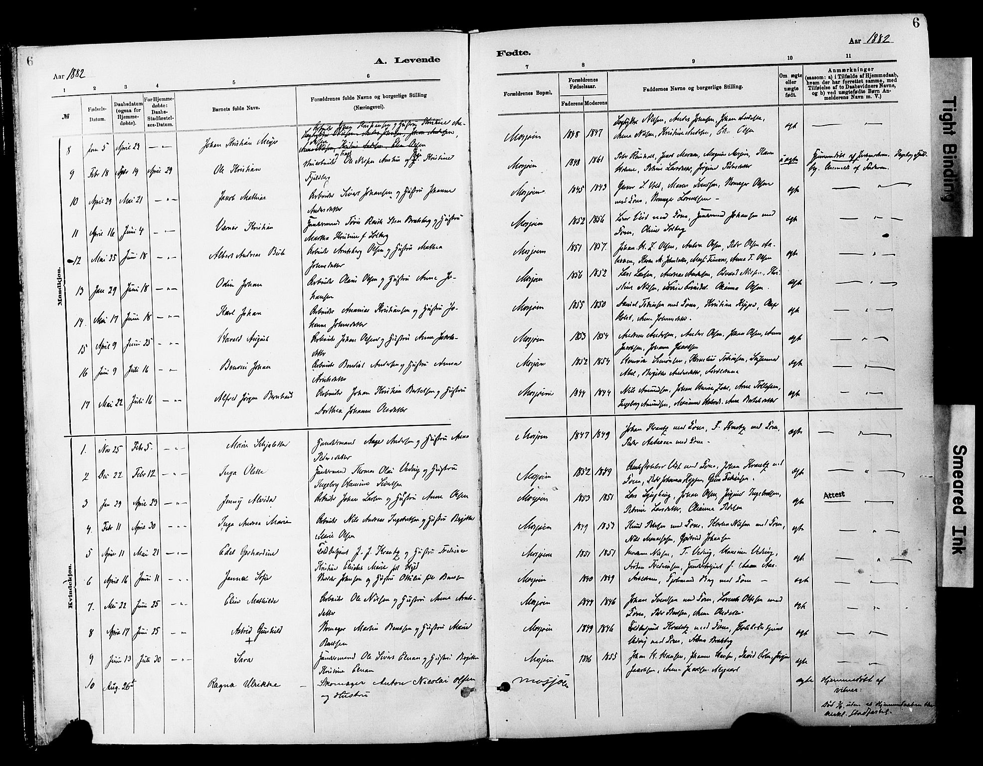 Ministerialprotokoller, klokkerbøker og fødselsregistre - Nordland, SAT/A-1459/820/L0296: Parish register (official) no. 820A17, 1880-1903, p. 6