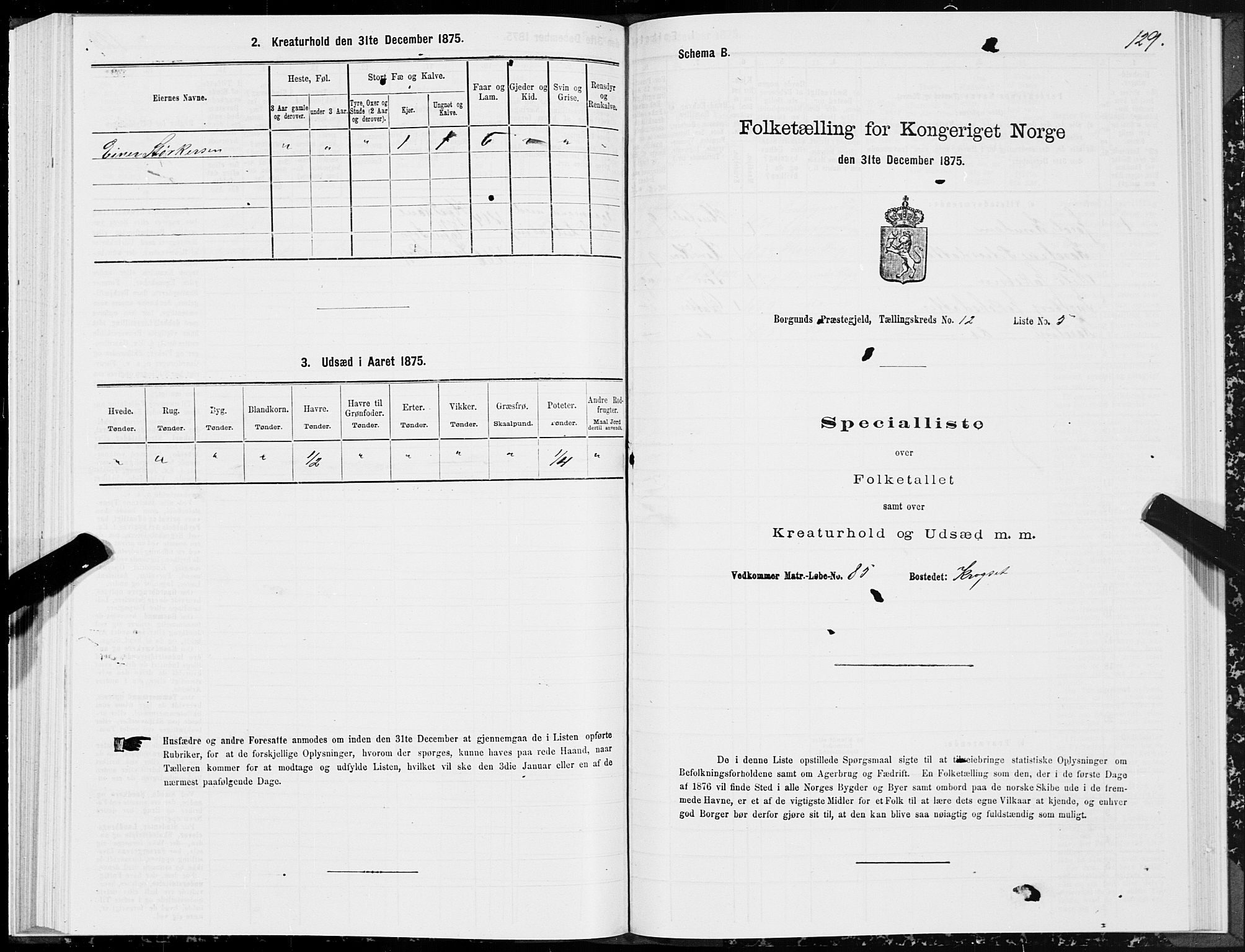 SAT, 1875 census for 1531P Borgund, 1875, p. 6129