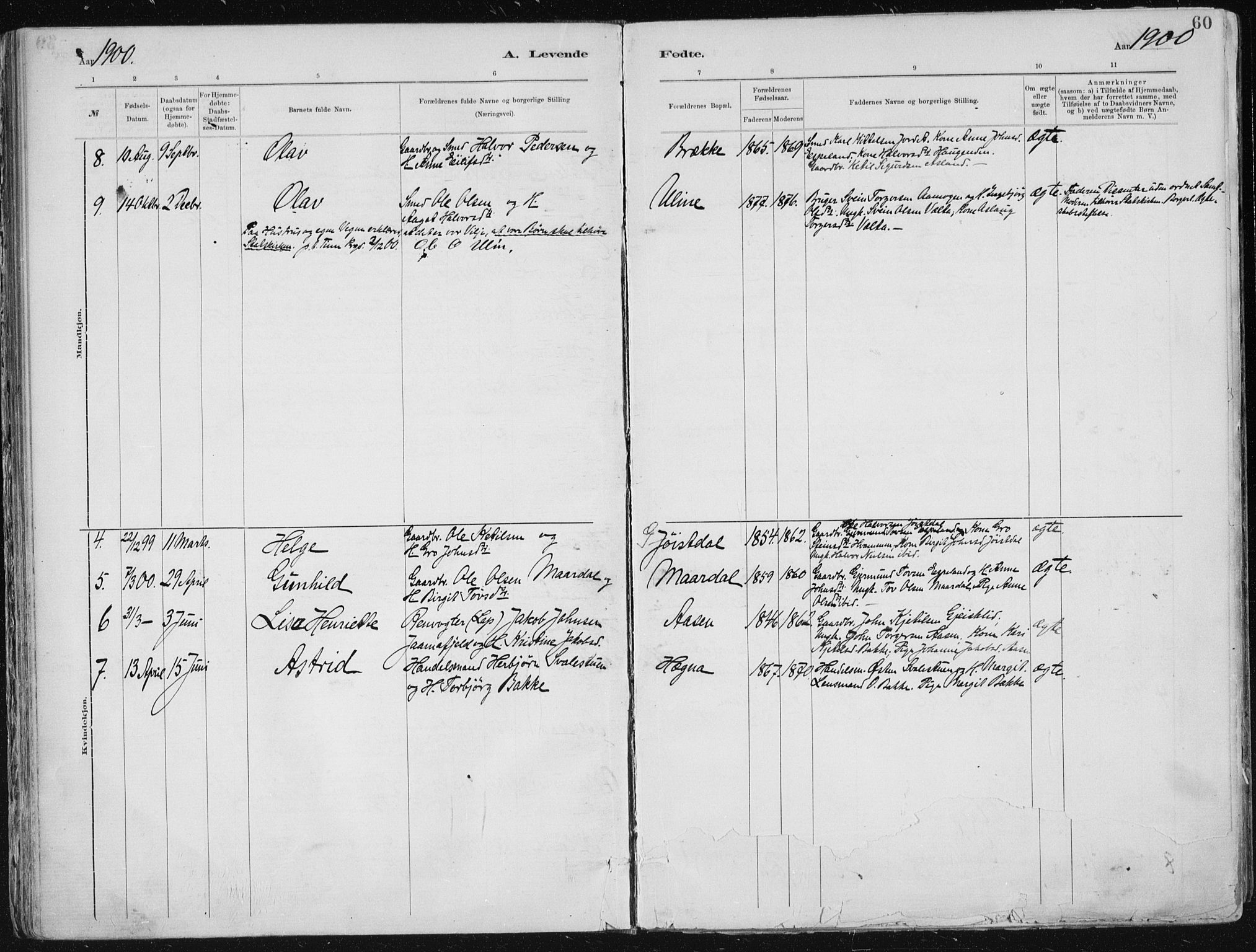 Tinn kirkebøker, AV/SAKO-A-308/F/Fa/L0007: Parish register (official) no. I 7, 1878-1922, p. 60