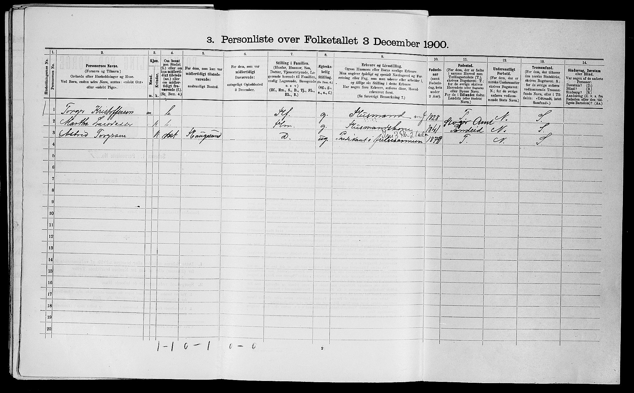 SAST, 1900 census for Skjold, 1900, p. 248