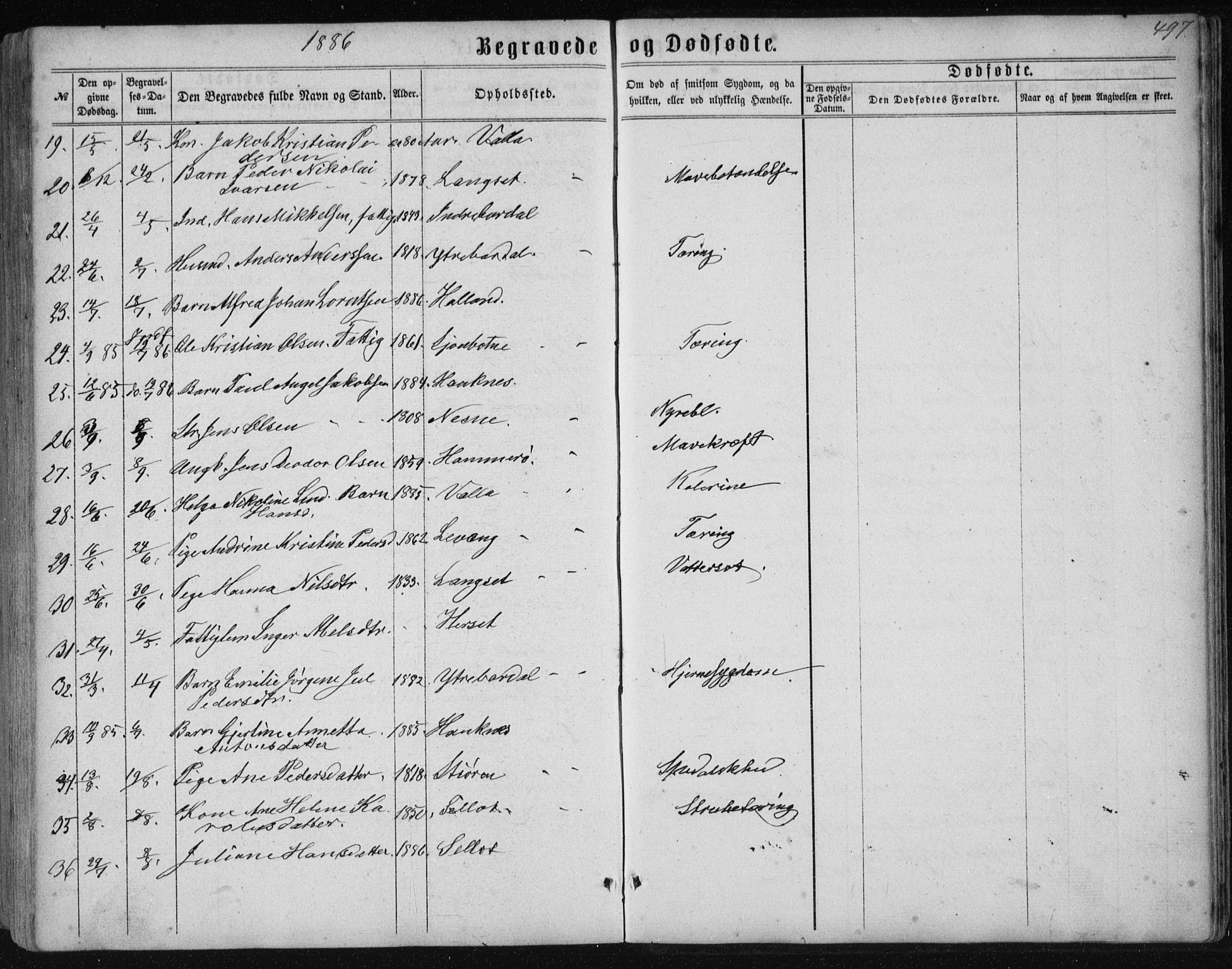 Ministerialprotokoller, klokkerbøker og fødselsregistre - Nordland, AV/SAT-A-1459/838/L0556: Parish register (copy) no. 838C03, 1861-1893, p. 497