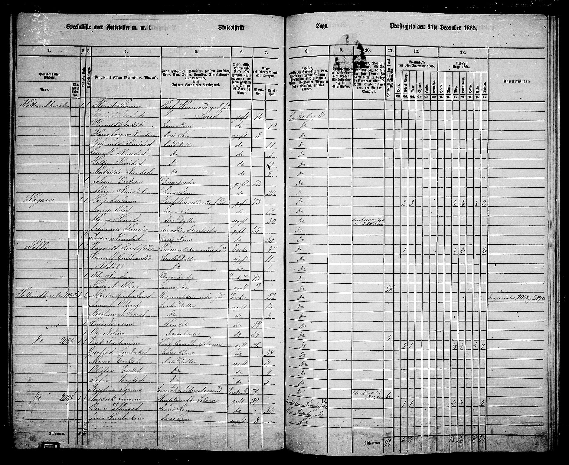 RA, 1865 census for Hole, 1865, p. 142