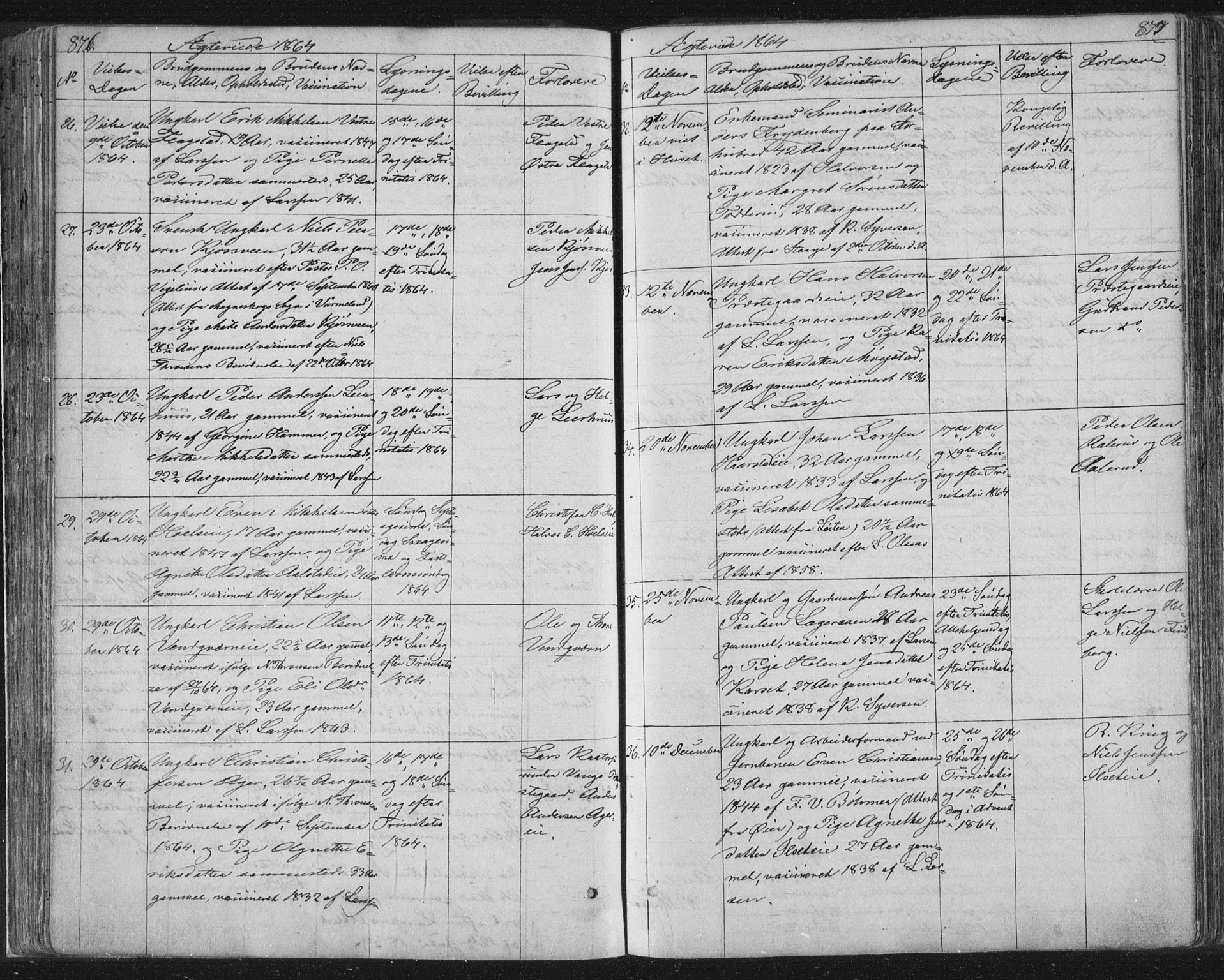 Vang prestekontor, Hedmark, SAH/PREST-008/H/Ha/Hab/L0010B: Parish register (copy) no. 10b, 1854-1896, p. 876-877