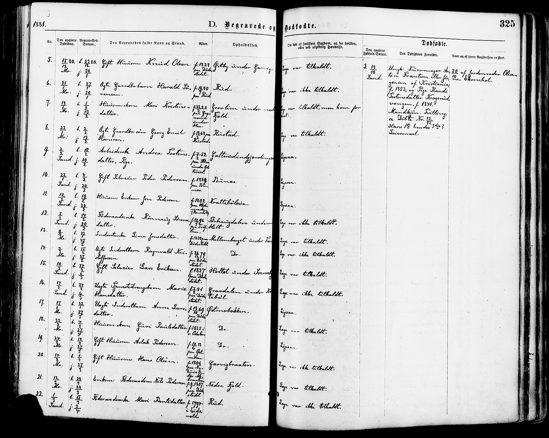 Nord-Odal prestekontor, AV/SAH-PREST-032/H/Ha/Haa/L0005: Parish register (official) no. 5, 1874-1885, p. 325