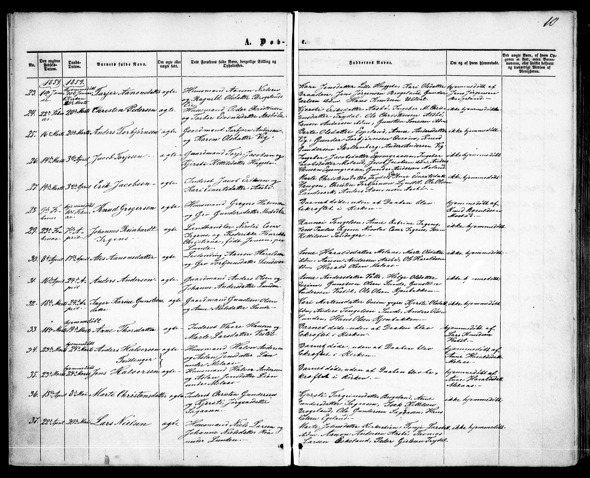 Gjerstad sokneprestkontor, AV/SAK-1111-0014/F/Fa/Faa/L0007: Parish register (official) no. A 7, 1858-1875, p. 10