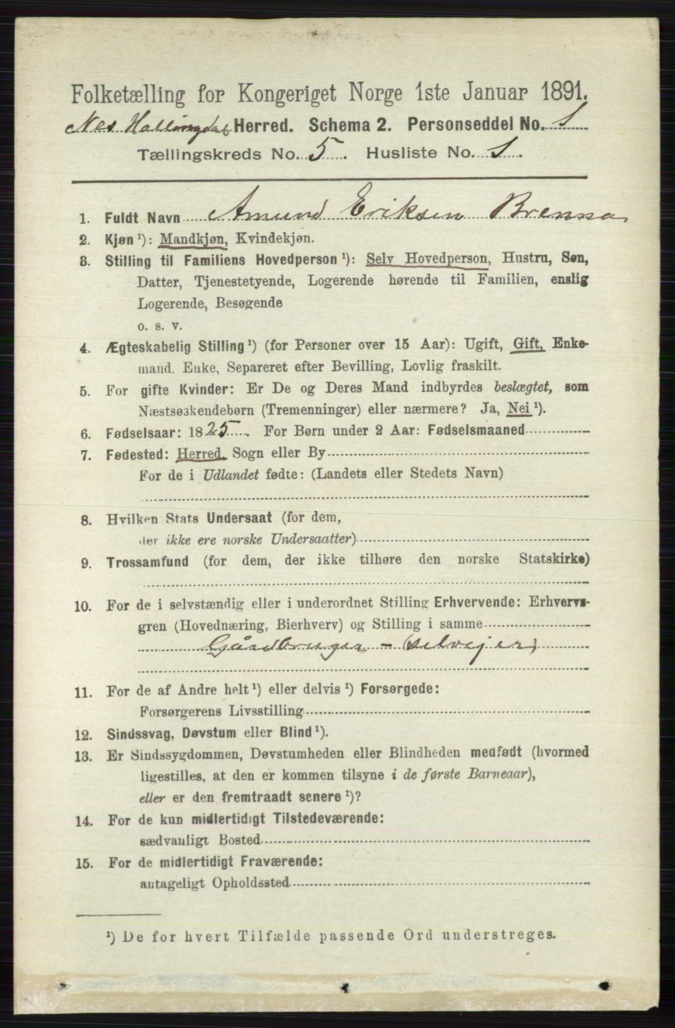 RA, 1891 census for 0616 Nes, 1891, p. 2636