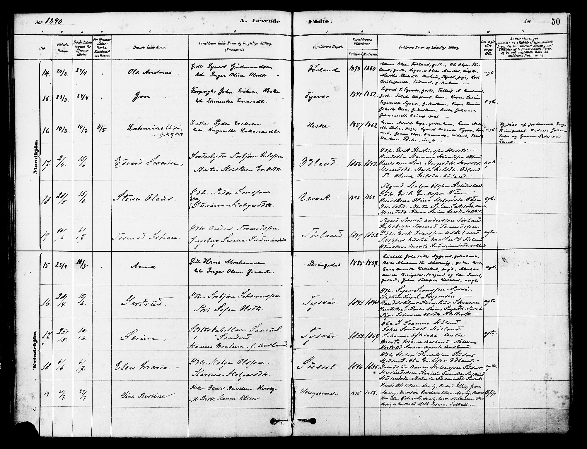 Tysvær sokneprestkontor, AV/SAST-A -101864/H/Ha/Haa/L0006: Parish register (official) no. A 6, 1878-1896, p. 50
