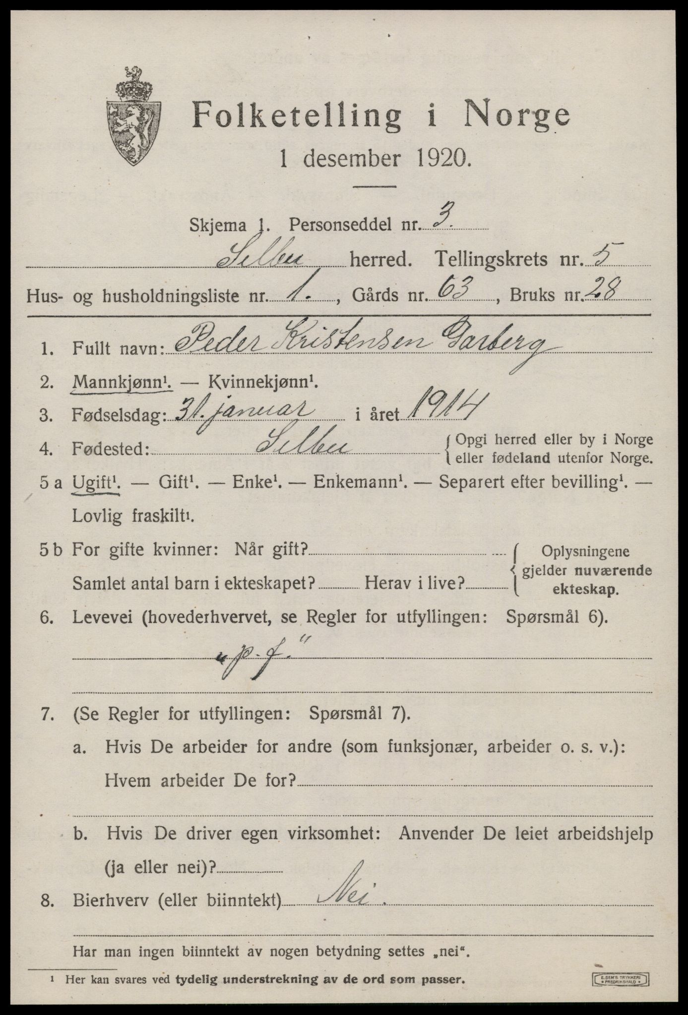 SAT, 1920 census for Selbu, 1920, p. 3204