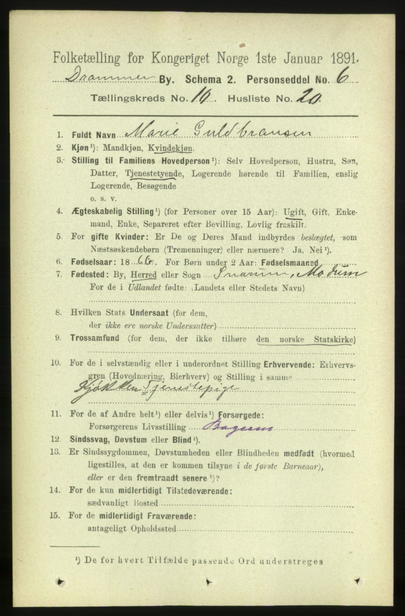 RA, 1891 census for 0602 Drammen, 1891, p. 8197