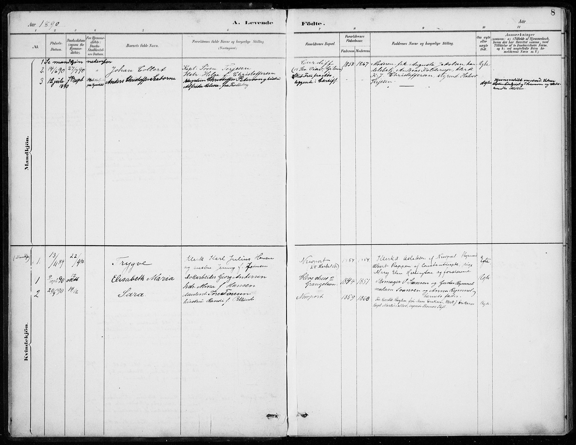 Den norske sjømannsmisjon i utlandet/Bristolhavnene(Cardiff-Swansea), SAB/SAB/PA-0102/H/Ha/Haa/L0002: Parish register (official) no. A 2, 1887-1932, p. 8