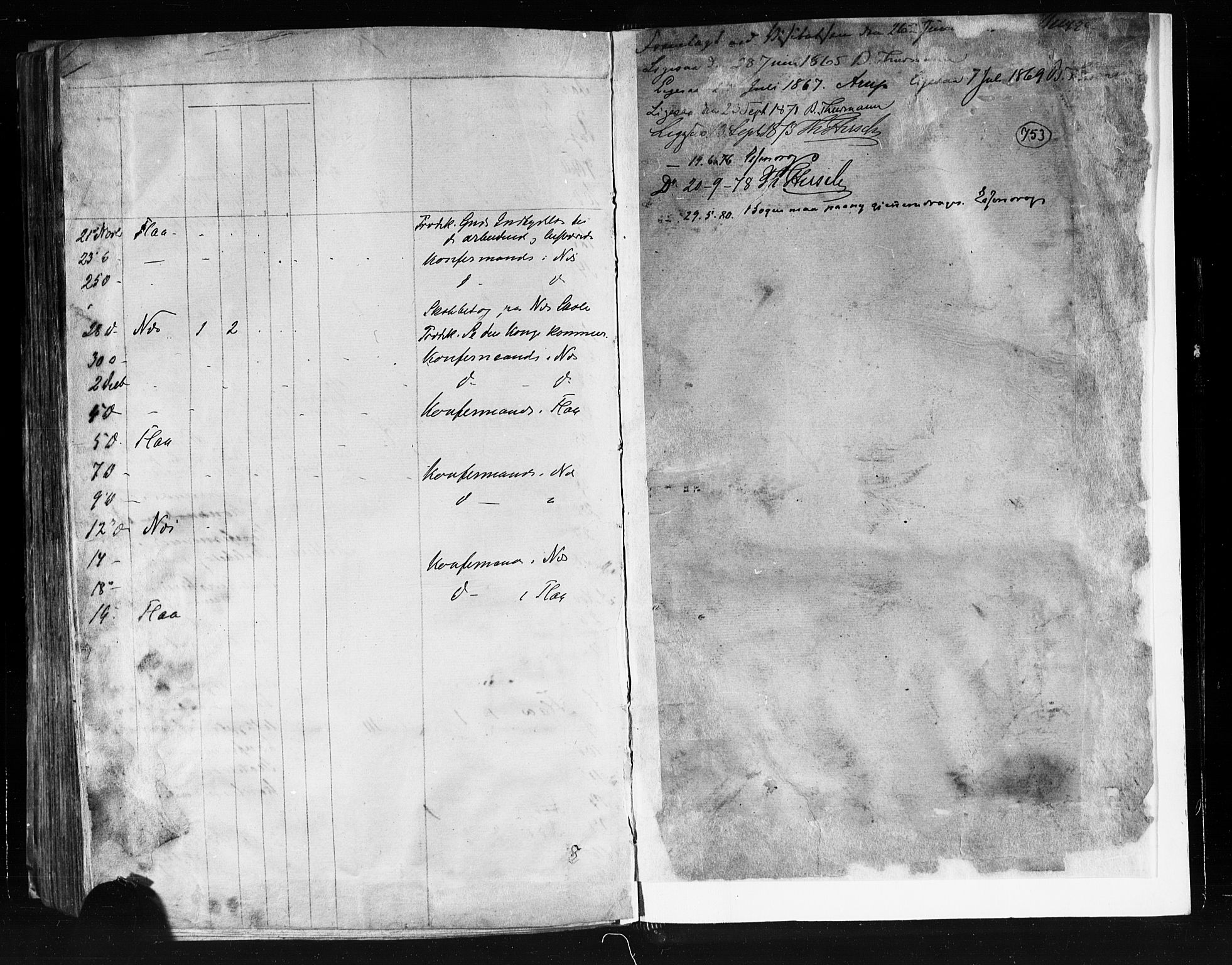 Nes kirkebøker, AV/SAKO-A-236/F/Fa/L0010: Parish register (official) no. 10, 1864-1880, p. 753